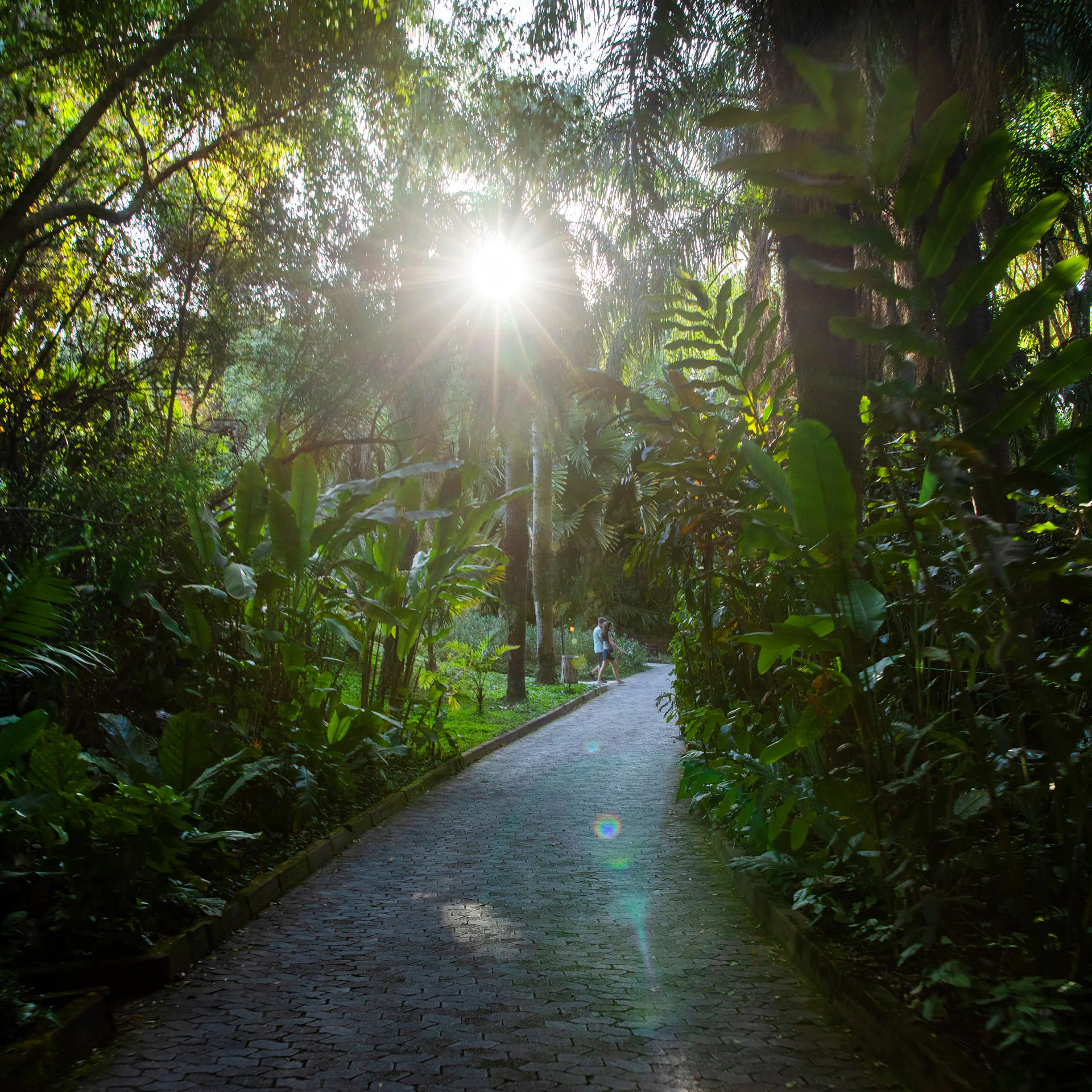 inhotim programacao agosto