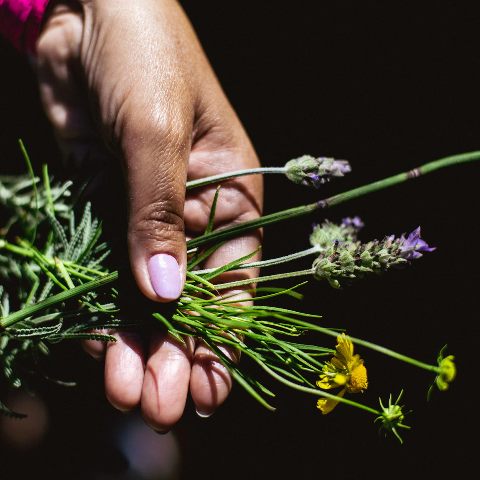 The Garden of All Senses and the works of Olafur Eliasson and Janet Cardiff will get special attention in September’s mediated visit. Photo: Bruno Figueiredo/Área de Serviço 