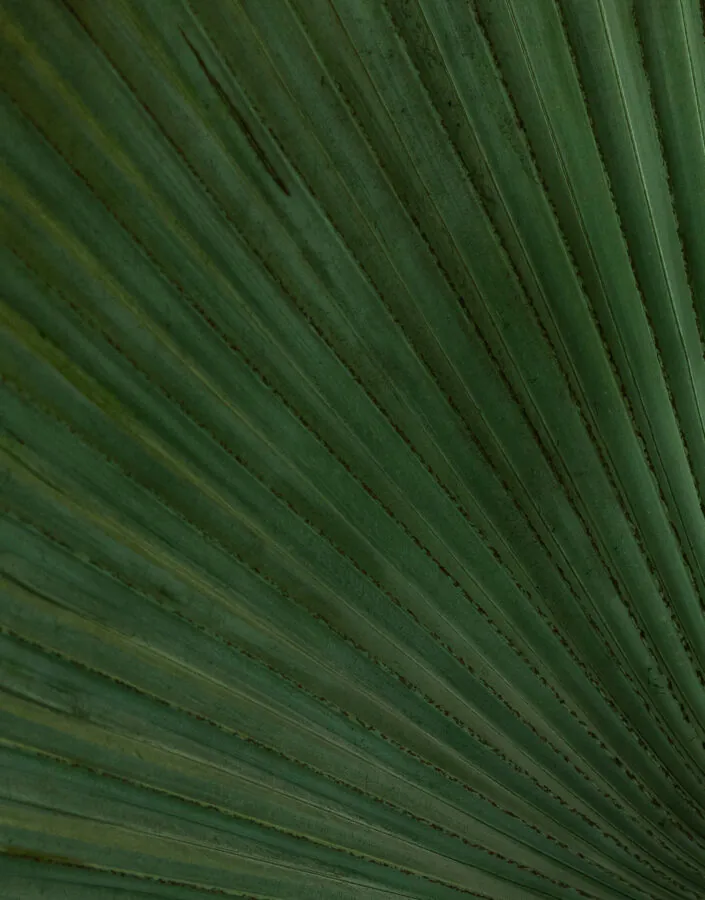 Profissionais de diversas áreas se encontram no Seminário para debate sobre novas relações com o meio ambiente. Foto: João Marcos Rosa