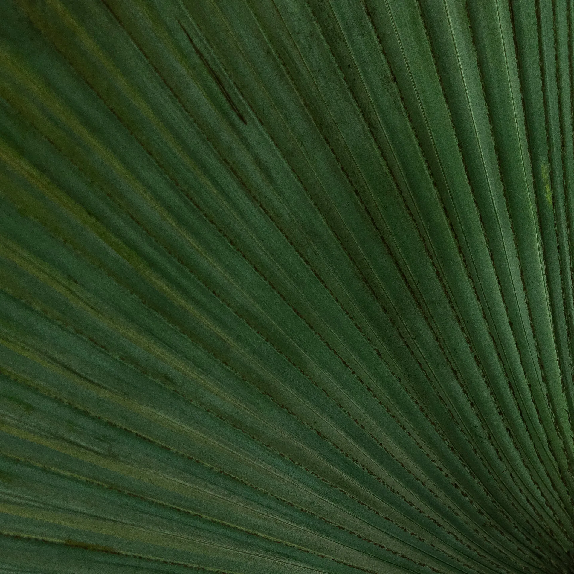 Professionals from different areas meet at the Seminar to discuss new relationships with the environment. Photo: João Marcos Rosa