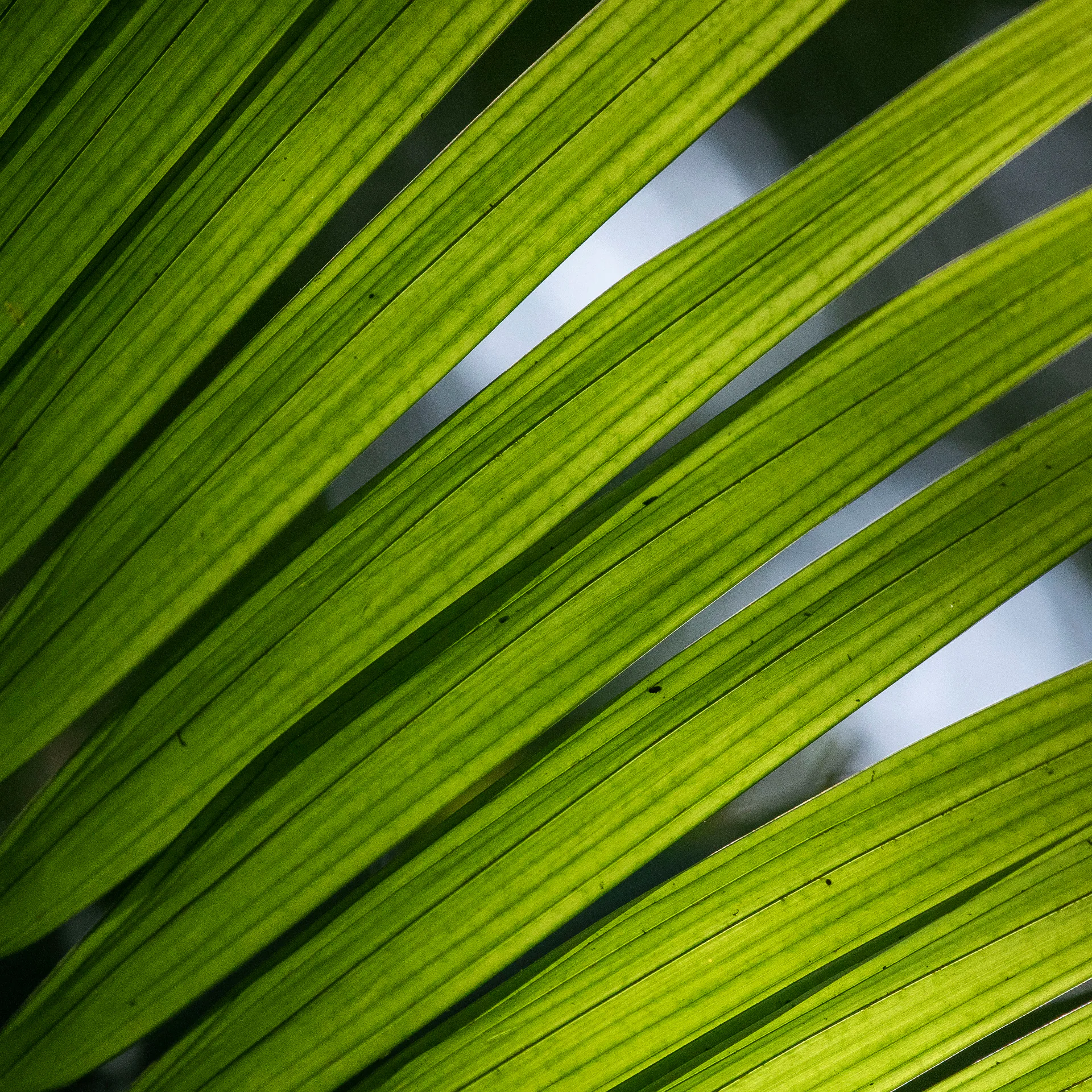 Visitors of all ages can participate in free activities that encourage reflection and contact with nature. Photo João Marcos Rosa