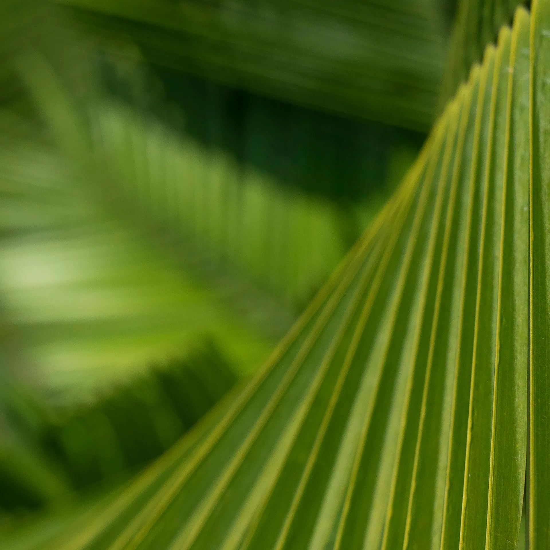 Yoga classes in the gardens take place on the June 3 and 4, and is part of the Inhotim Environment Week 2023 program. Photo: João Marcos Rosa
