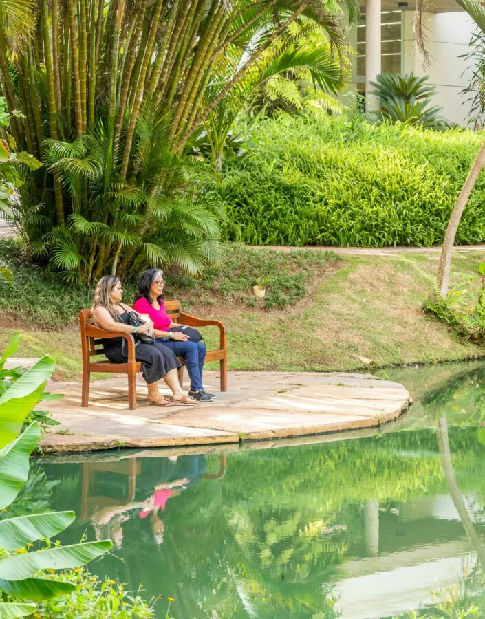 inhotim ingresso gratuito gratis foto patrick arley