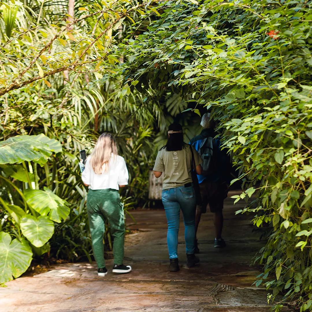 Science and Technology Week is part of the special program Transmutar: Botanical Research Program at the Inhotim Botanical Garden.Photo: Carolina Evangelista