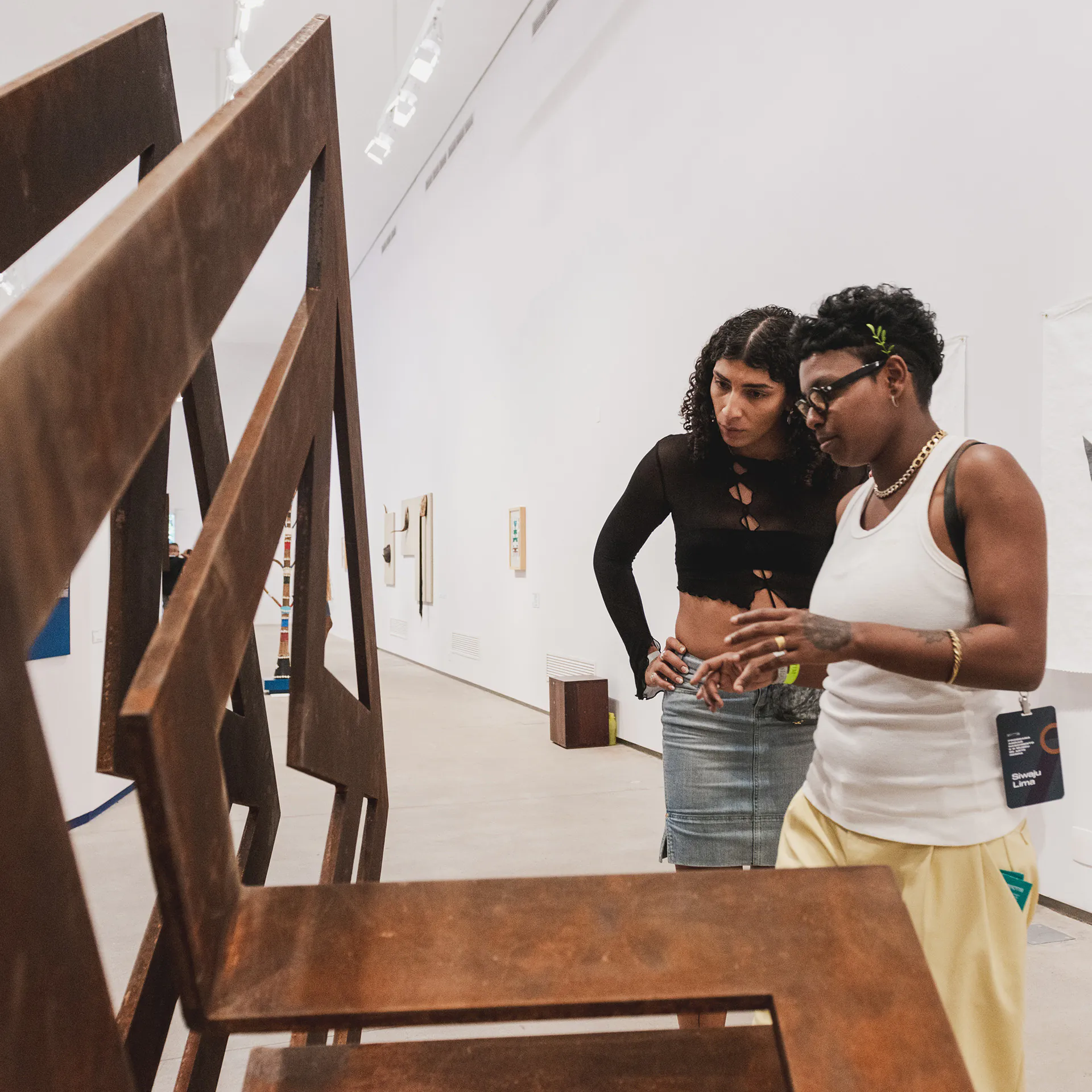 Learn more about sculptures with the Inhotim collection. Photo: Daniela Paolielle