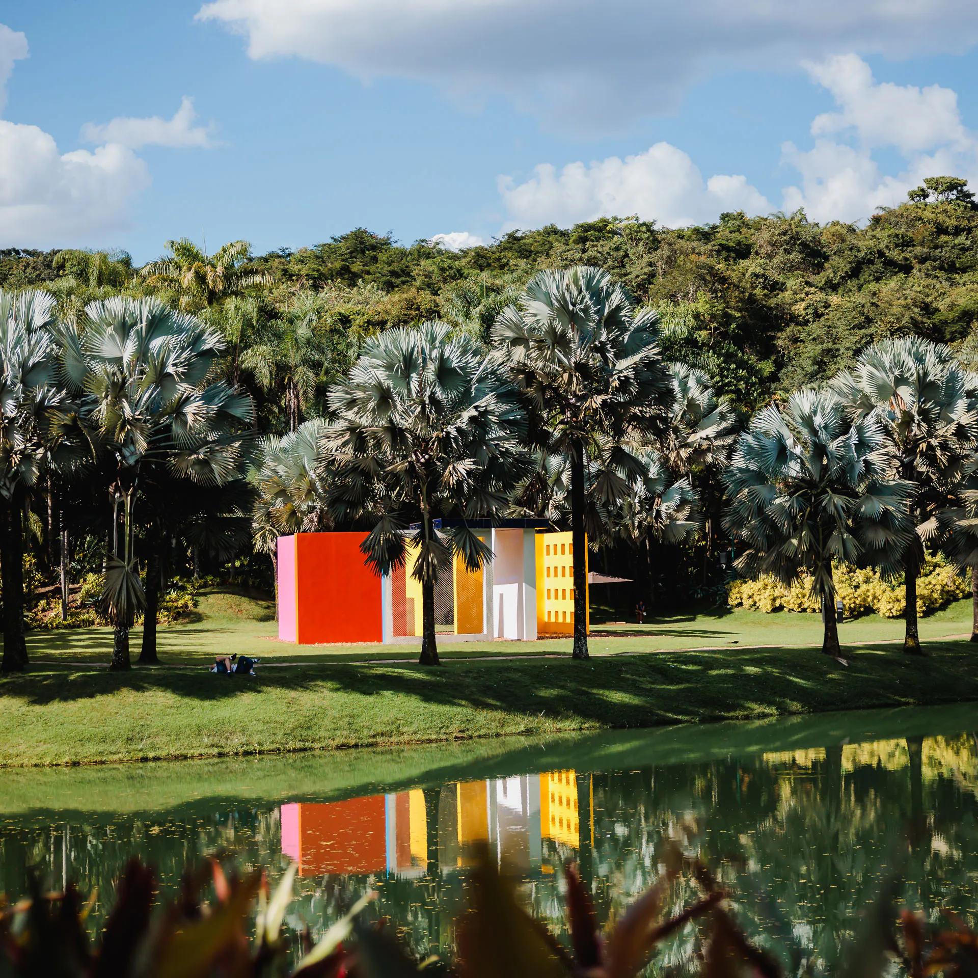 Em janeiro, o Inhotim funciona de terça-feira a domingo: mais dias de visitação para o público aproveitar acervos de arte e botânica do Instituto. Foto: Julia Lanari