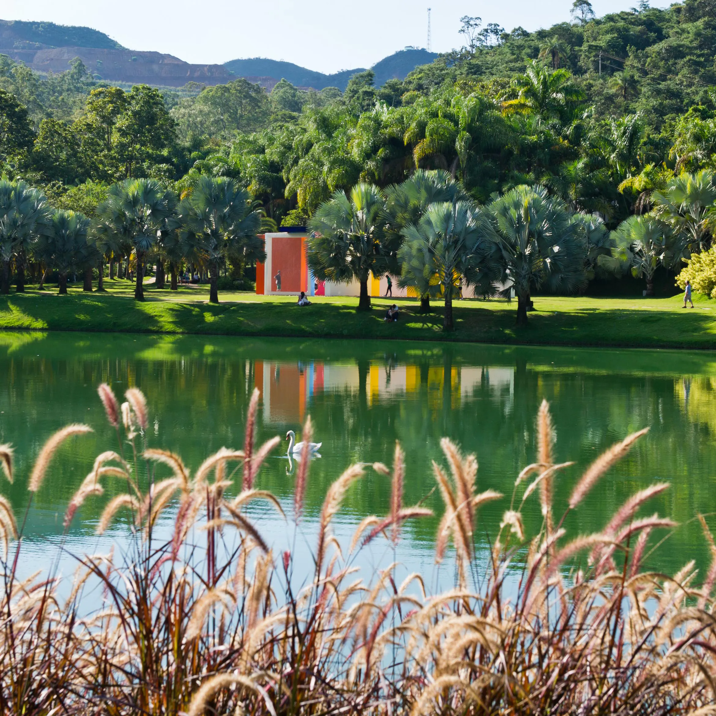 inhotim fevereiro 2023 programacao)mensal