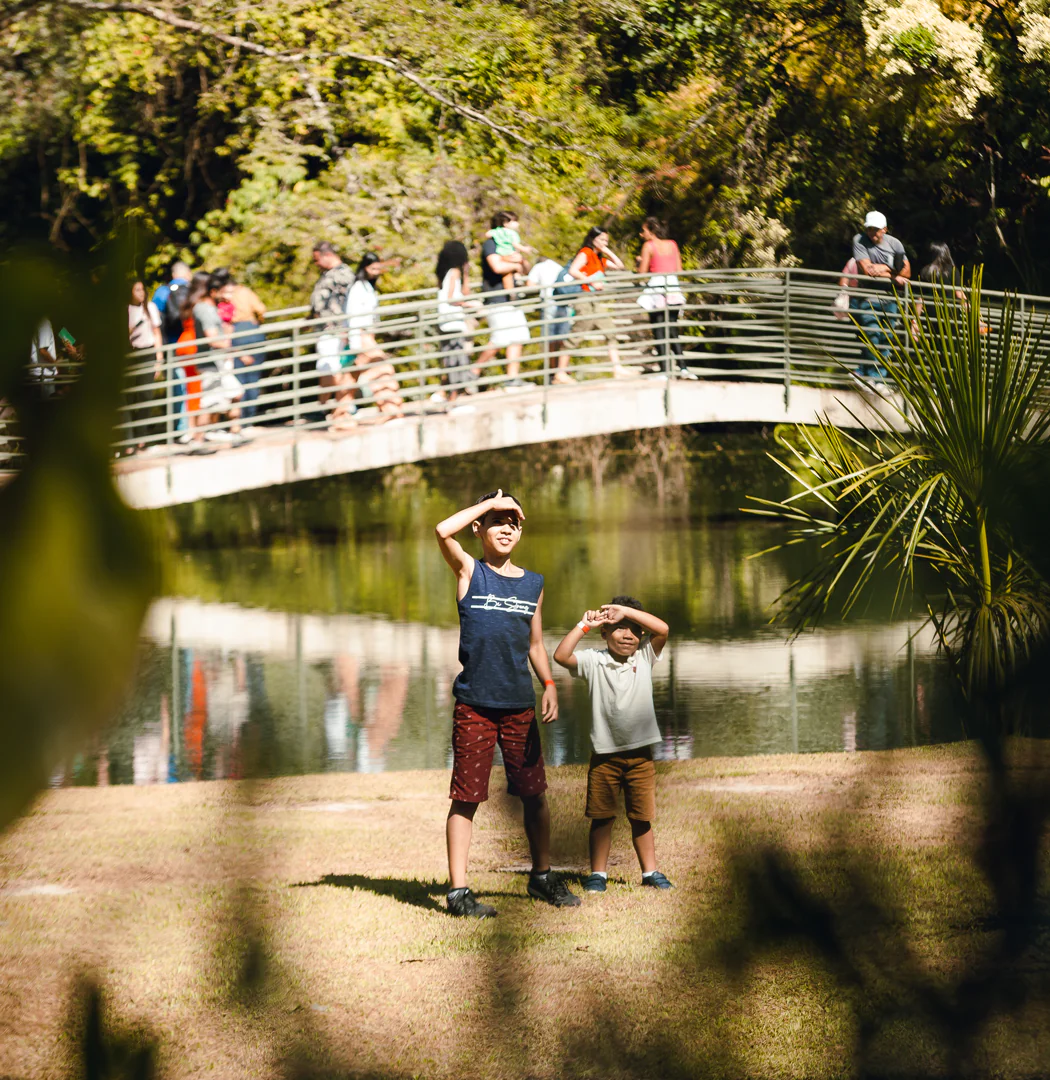 [DES24 DIGITAL] prop mensal HOME VP Carolina Evangelista