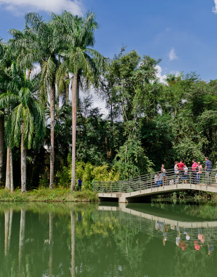 In March, Inhotim opens its doors from Wednesday to Sunday. Schedule your visit. Photo: William Gomes