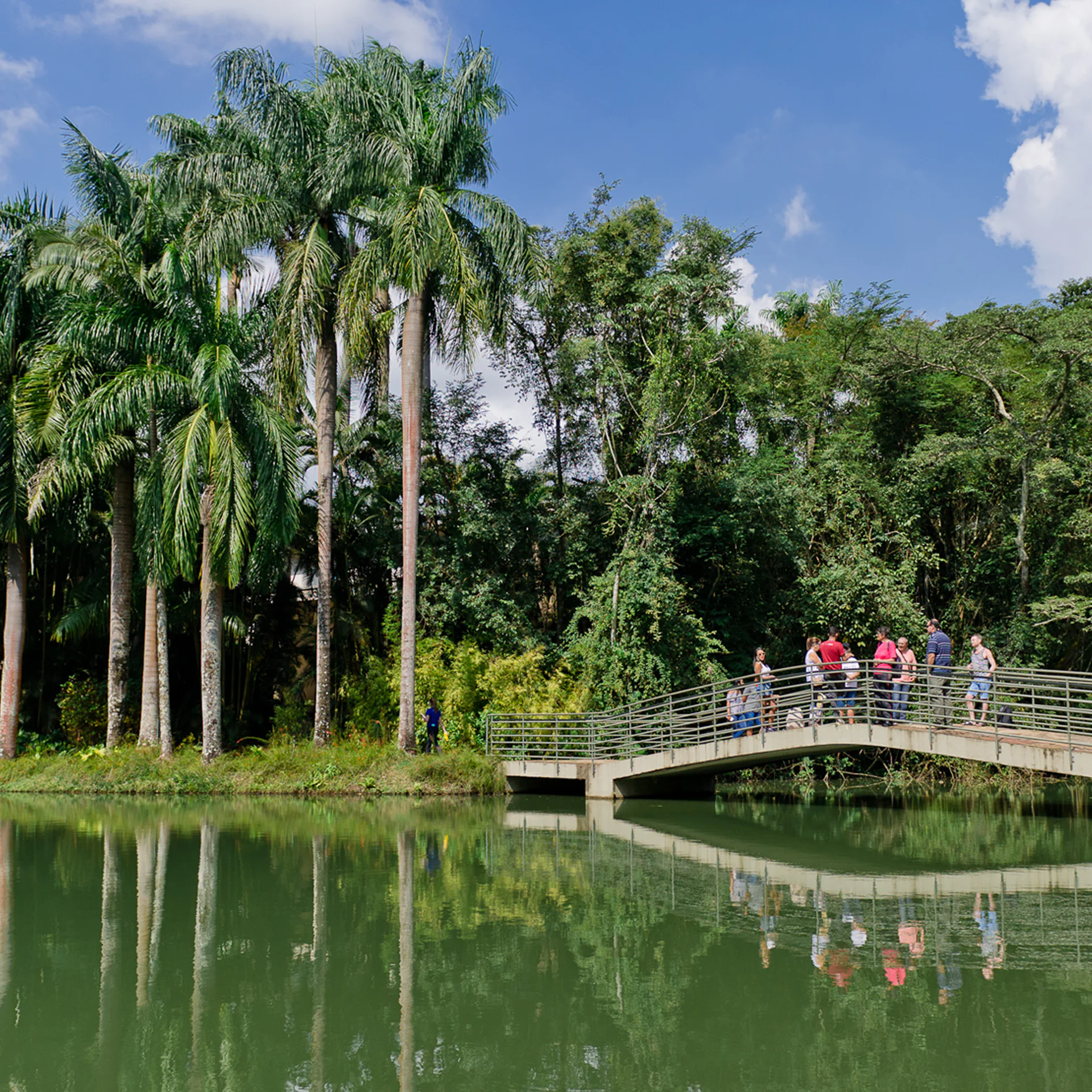 Em março, Inhotim abre as portas de quarta-feira a domingo. Programe sua visita. Foto: William Gomes