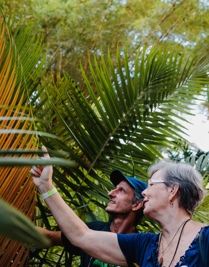 This April, Inhotim opens its doors with new exhibitions and a musical program. Pick up your ticket. Photo: Julia Lanari