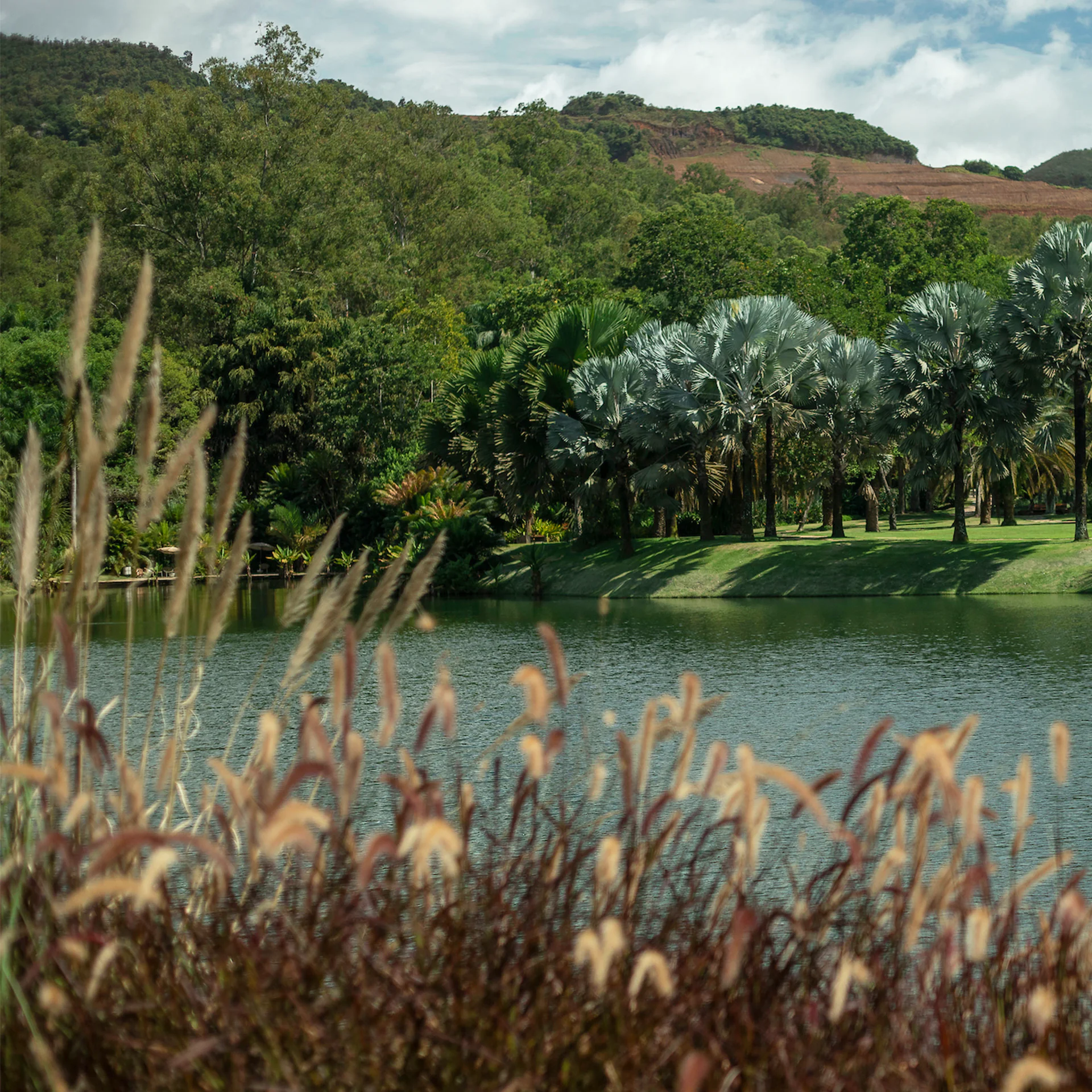 Series of events promotes the meeting of multiple perspectives on nature. Photo:  João Marcos Rosa