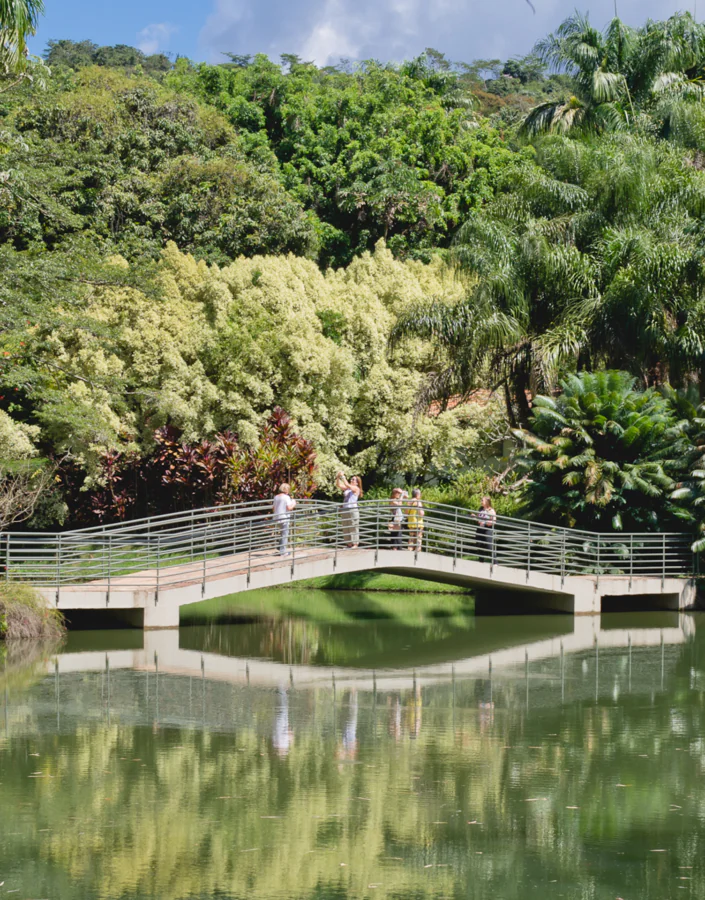  In July, Inhotim opens its doors with its first music festival, exhibitions, workshops and more. Pick up your ticket. 