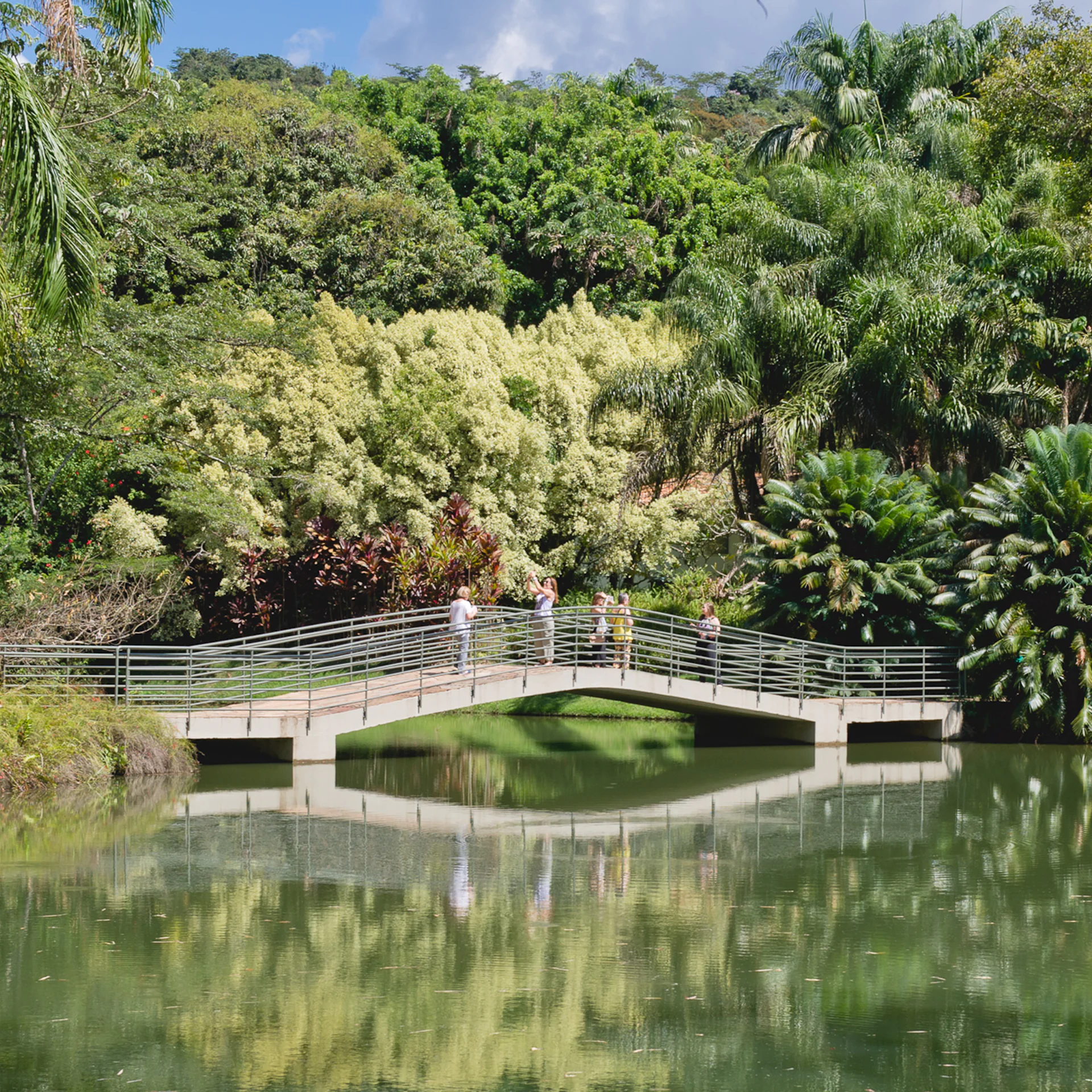  Em julho, Inhotim abre as portas com seu primeiro festival de música, exposições, oficinas e mais. Retire seu ingresso. Foto: William Gomes