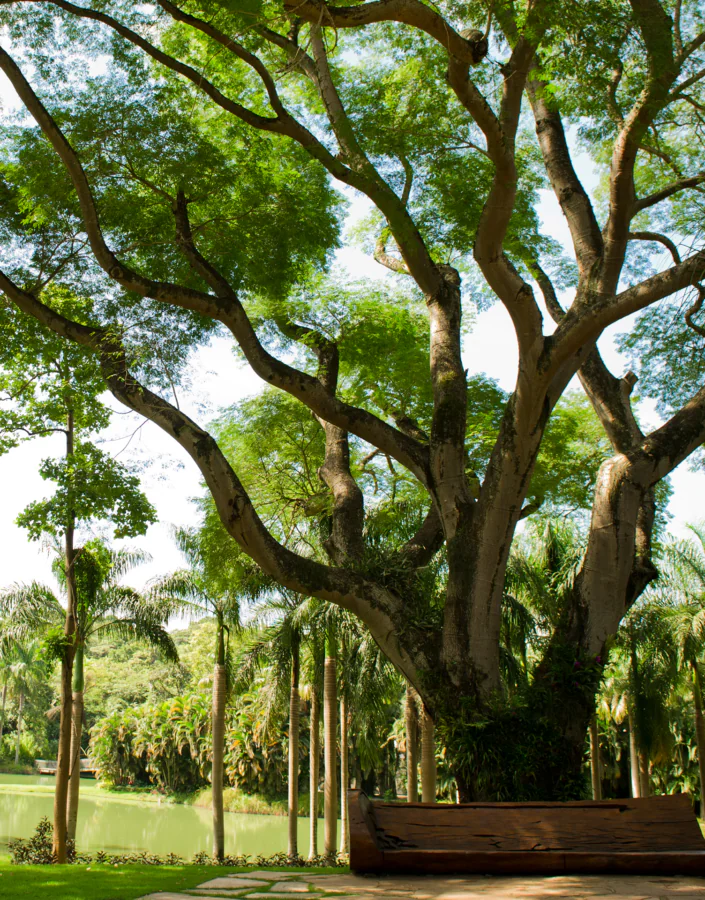 Participe das visitas temáticas do Inhotim. Elas são gratuitas para visitantes e destinadas a pessoas de todas as idades. Foto: Participe das visitas temáticas do Inhotim. Elas são gratuitas para visitantes e destinadas a pessoas de todas as idades. Foto: William Gomes