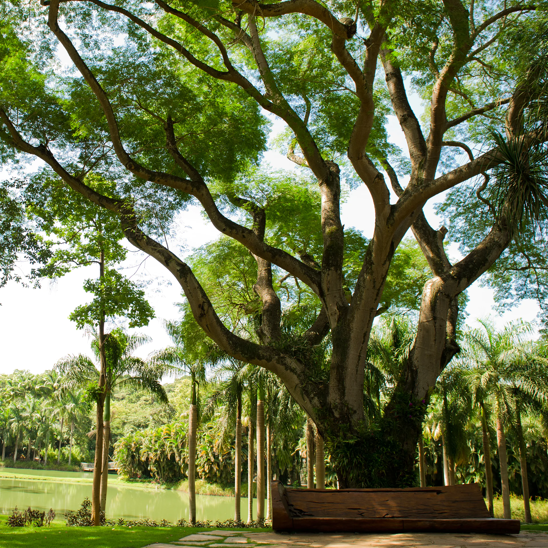 visita tematica 1920x1920