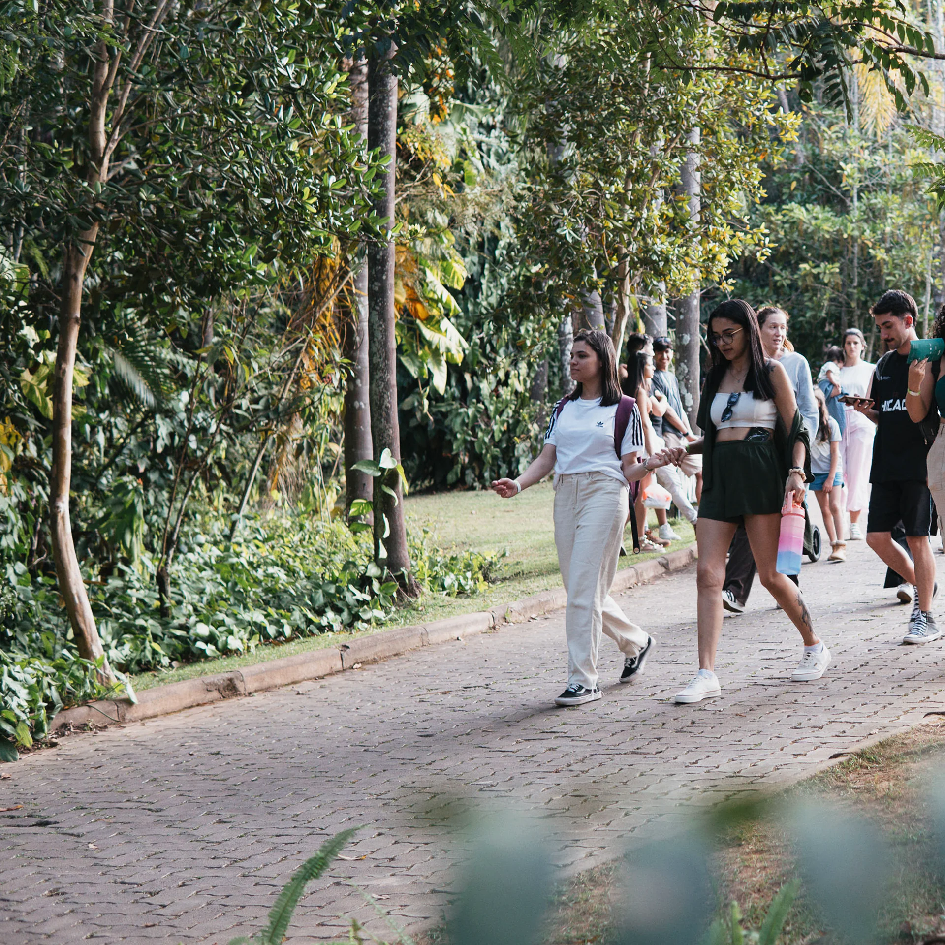 Join us in Inhotim’s themed visits. They are free for visitors and suitable for visitors of all ages. Photo: William Gomes