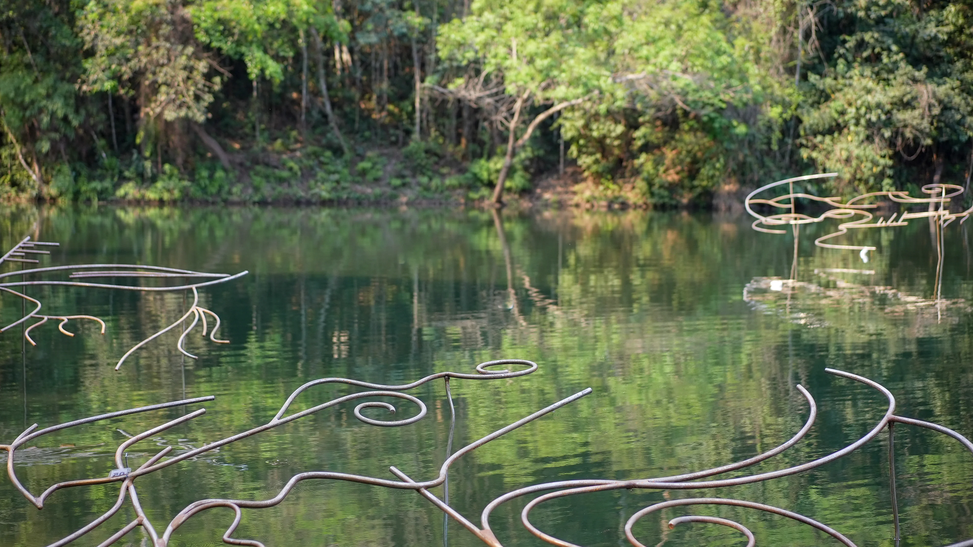 20240925 RebecaCarapia AnaClaraMartins-6