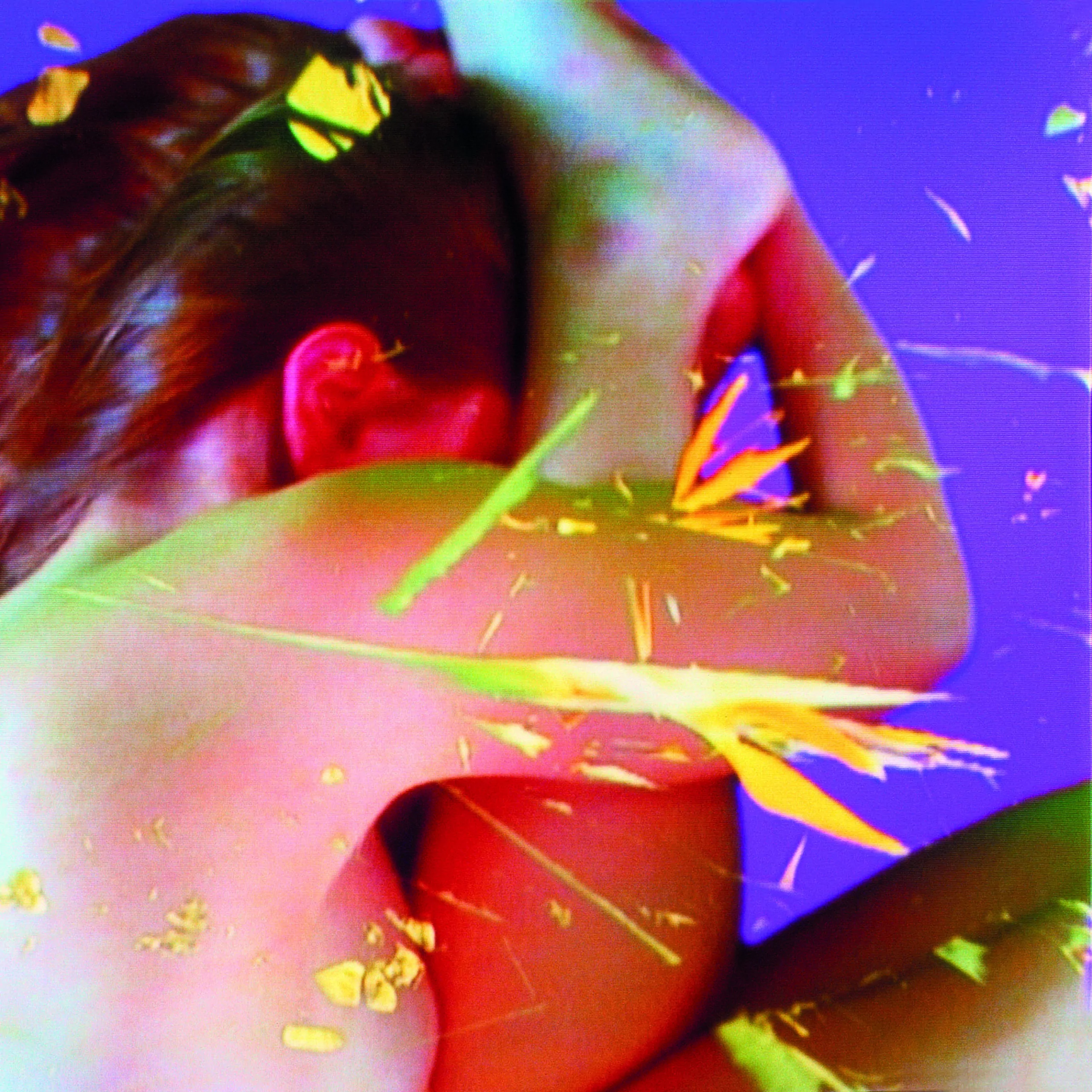 Pipilotti Risti_Homo sapiens sapiens. Foto: Cortesia Atelier Rist GmbH