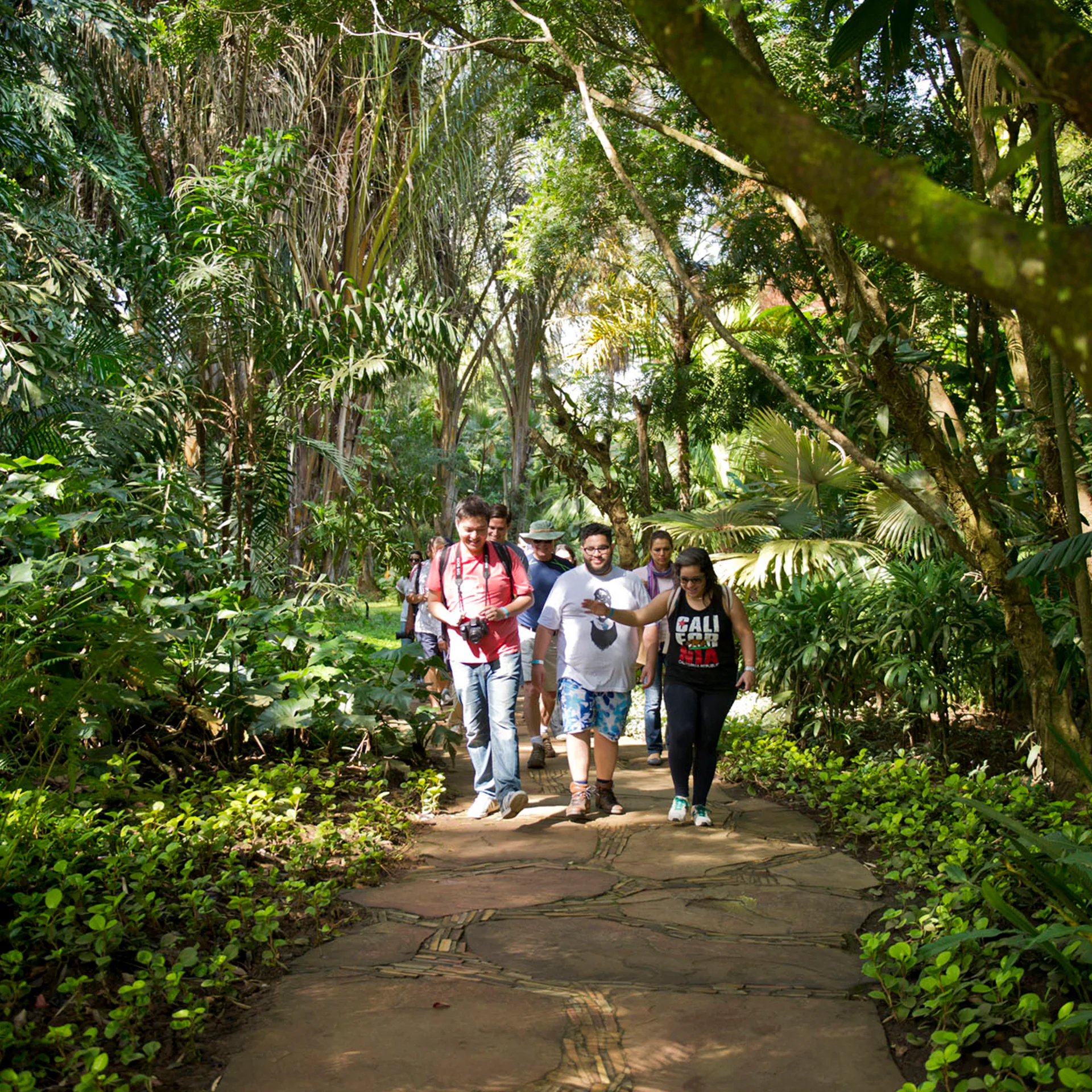 Join us on Inhotim’s themed visits. They are free of charge for visitors and suitable for all ages. Photo: Rossana Magri