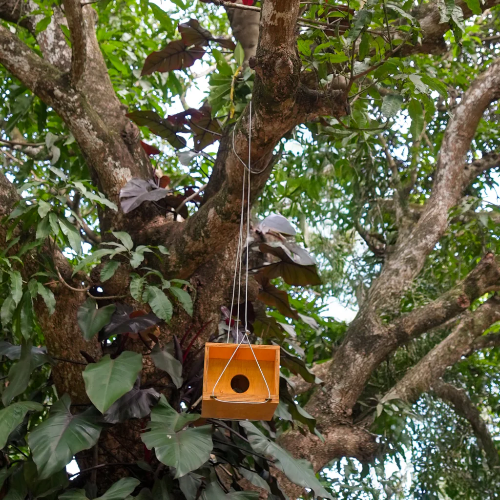 AI 20241113 InstalacaoCasaPassarinhos AnaClaraMartins-02