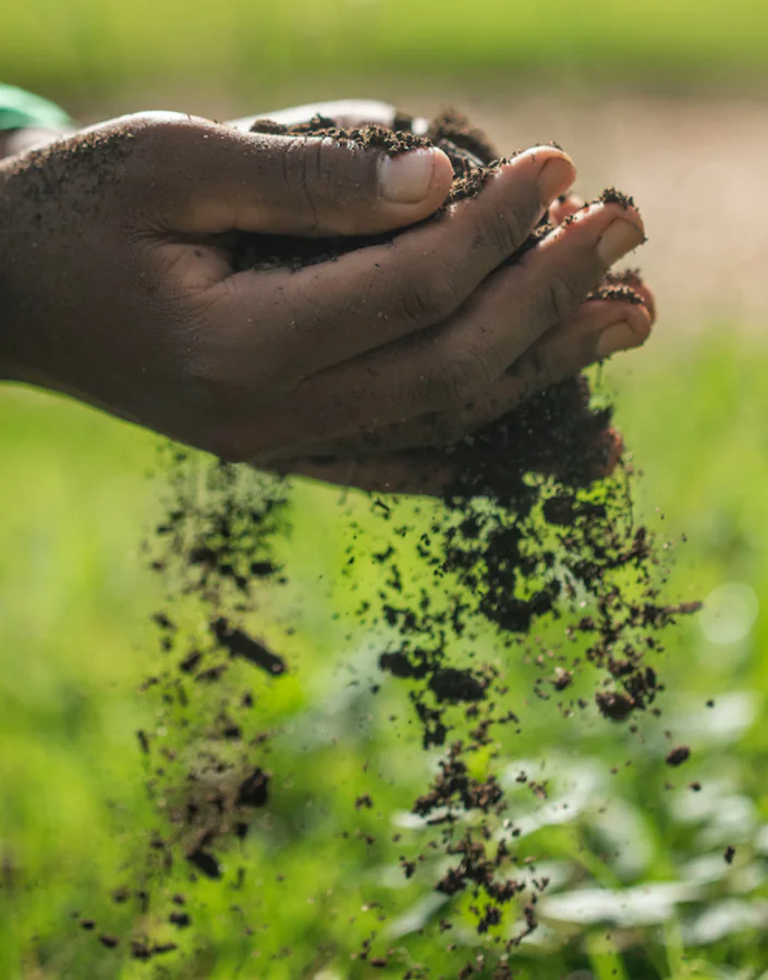 LAB Jardim é um projeto de formação continuada em jardinagem destinado a homens e mulheres residentes em Brumadinho. Foto: João Marcos Rosa