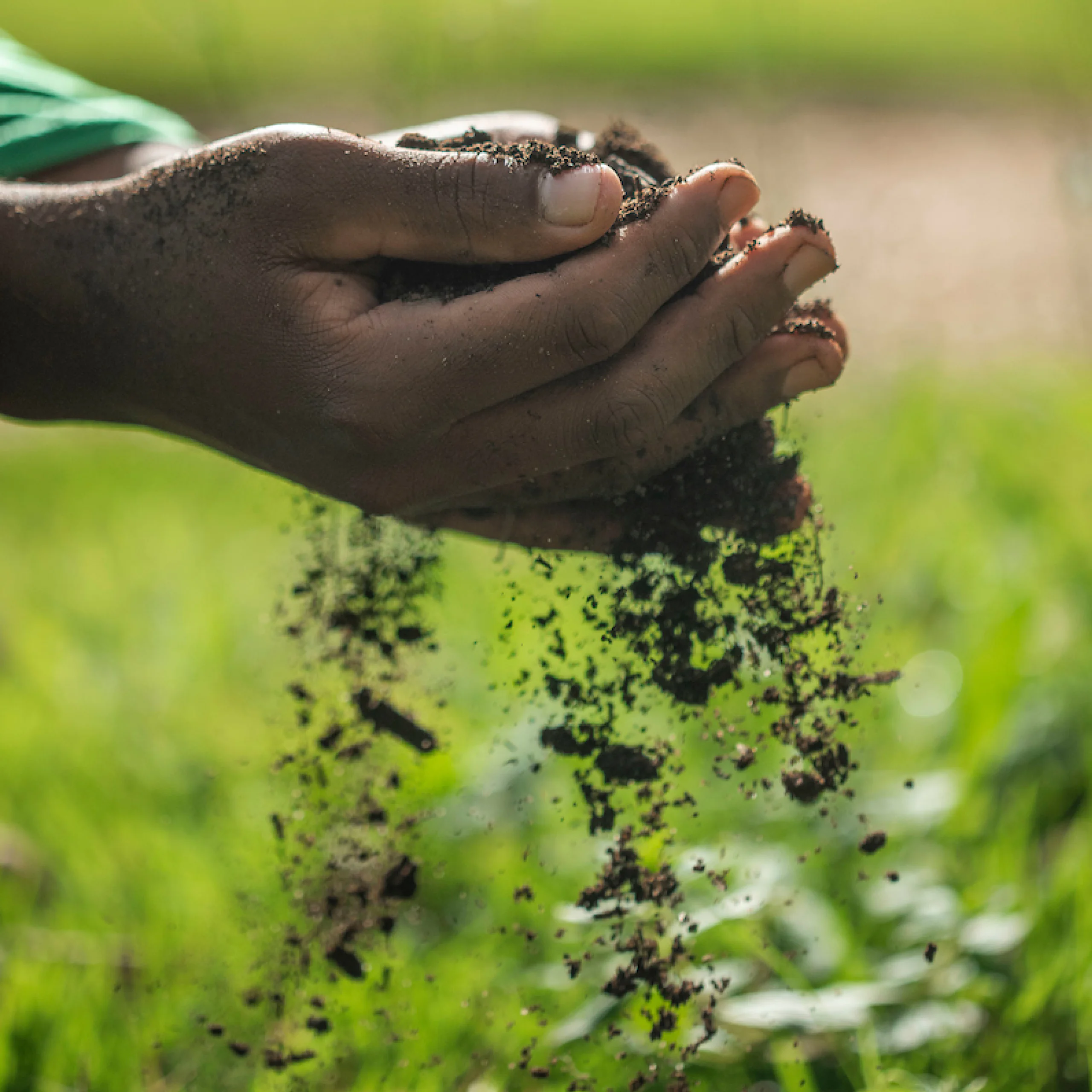 LAB Jardim é um projeto de formação continuada em jardinagem destinado a homens e mulheres residentes em Brumadinho. Foto: João Marcos Rosa