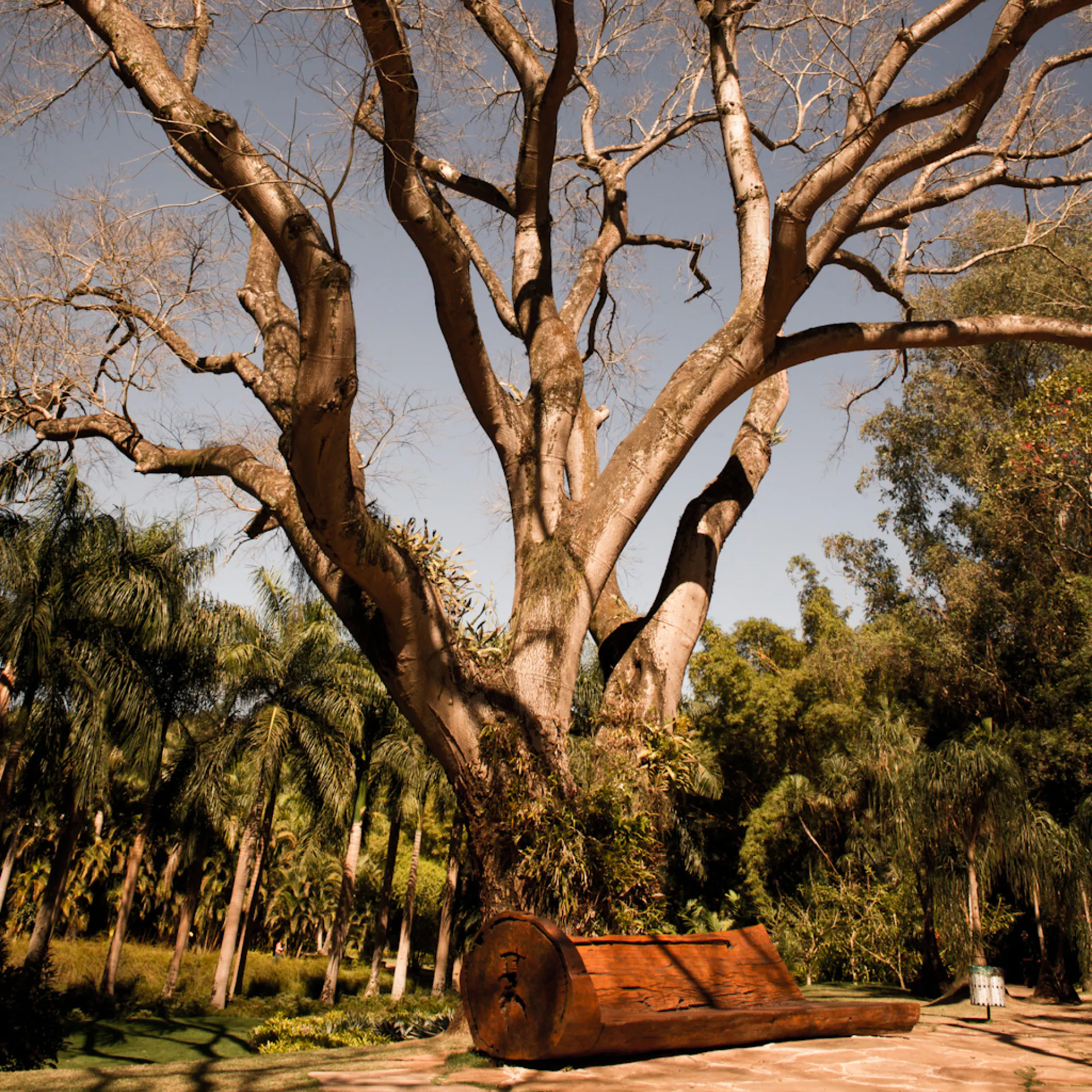 Primeira edição do Concerto Didático traz encontro de destaques da música instrumental popular brasileira. Foto: Daniela Paoliello
