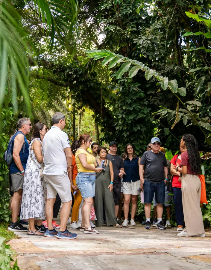 Participe das visitas temáticas do Inhotim. Elas são gratuitas para visitantes e destinadas a pessoas de todas as idades. Foto:  Brendon Campos