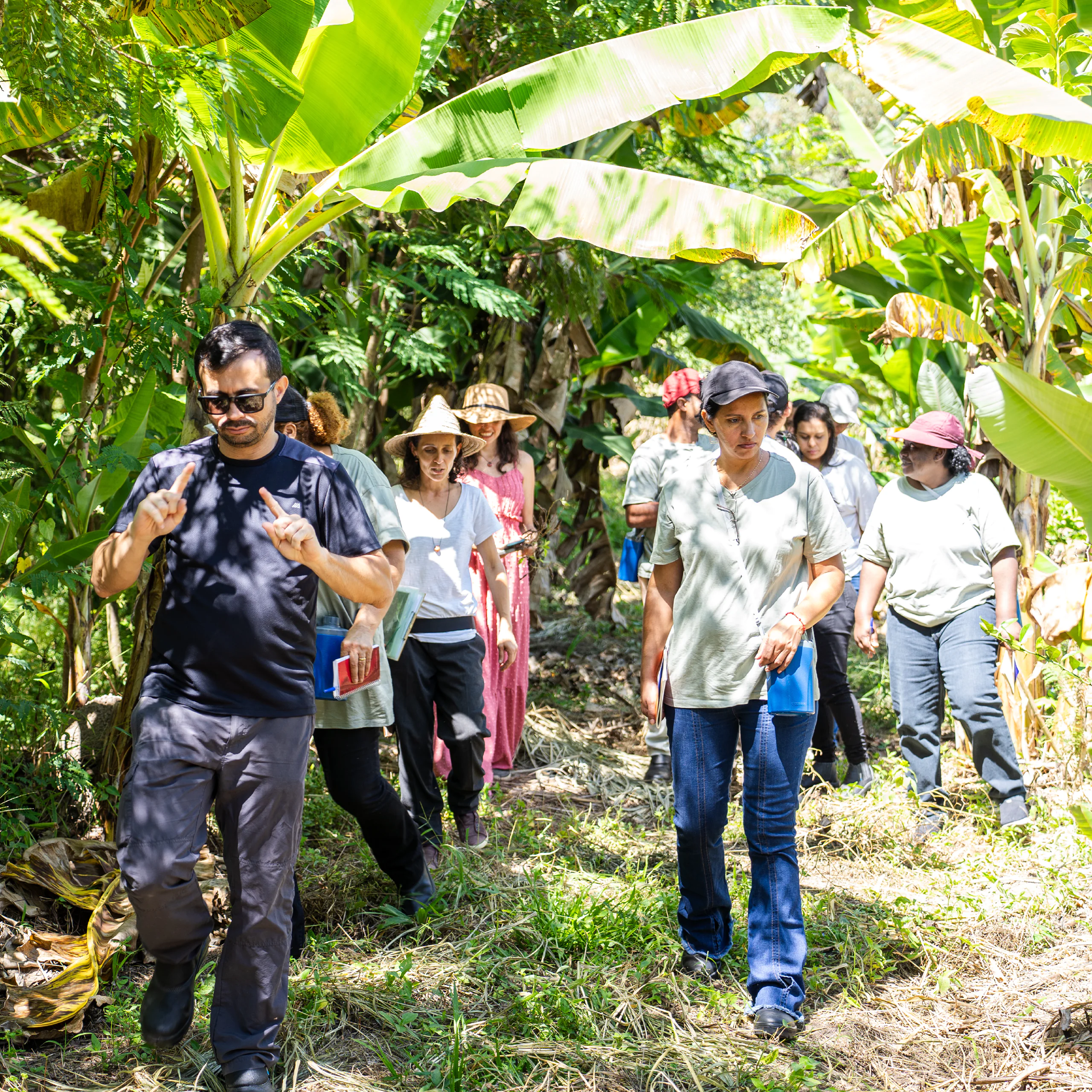 Aula aberta sobre cultivo de cactos e suculentas com Guydo Horta. Foto: Brendon Campos