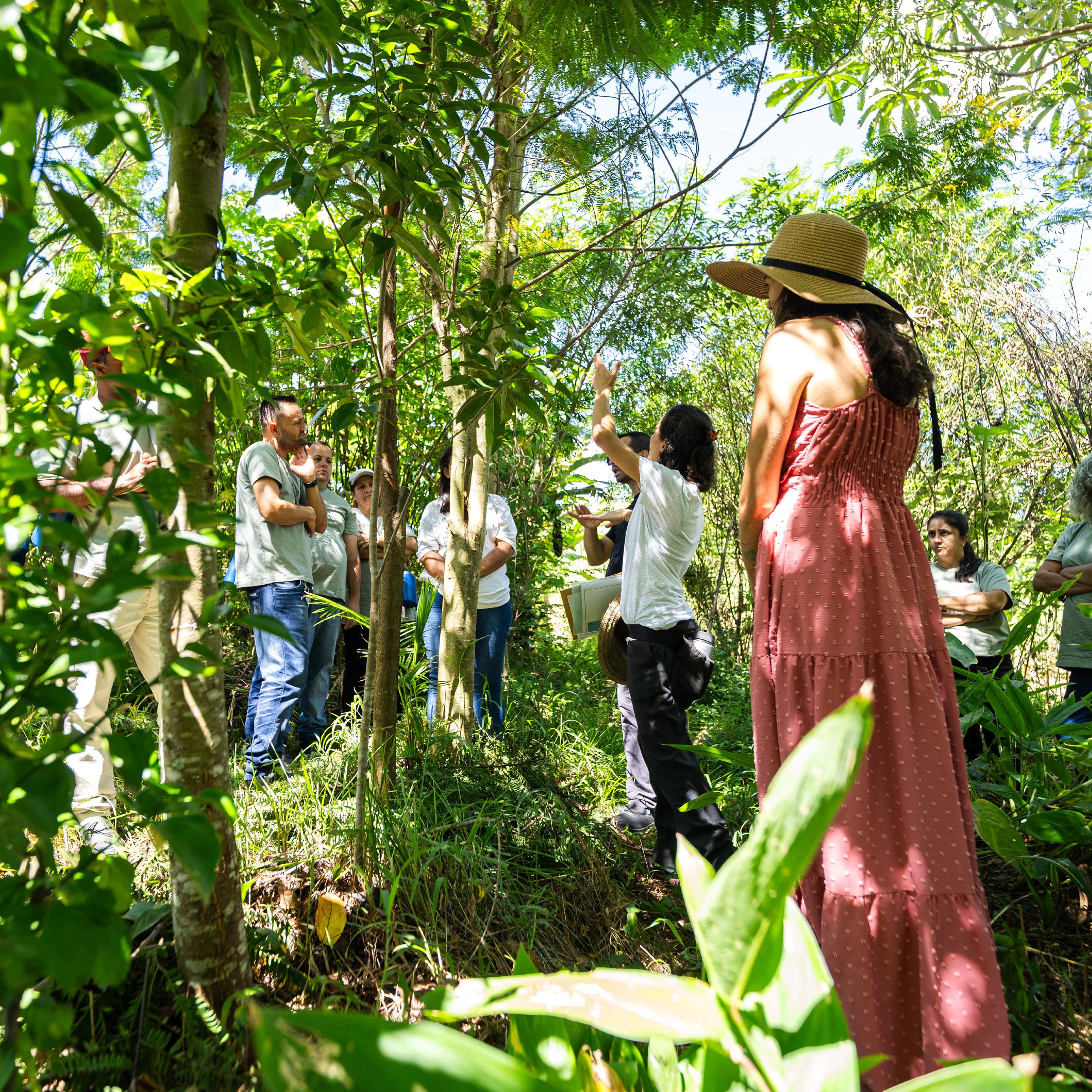 Projeto Lab Jardim possibilitou trocas e intensa formação em jardinagem. Foto: Brendon Campos