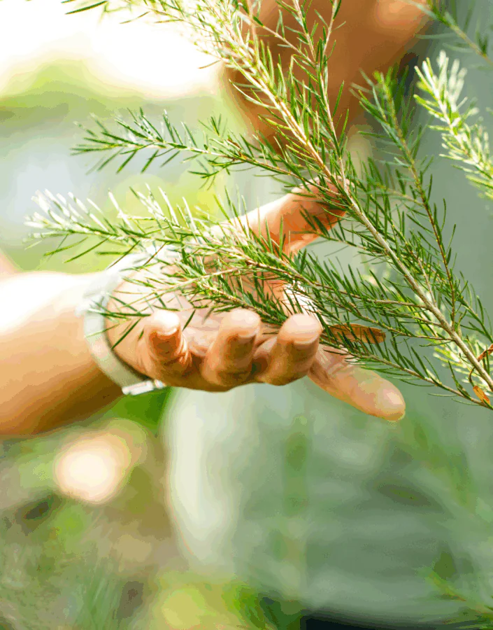 Troca de saberes com o Sítio Roberto Burle Marx (RJ) sobre plantas ornamentais e arranjos florais. Foto: Brendon Campos