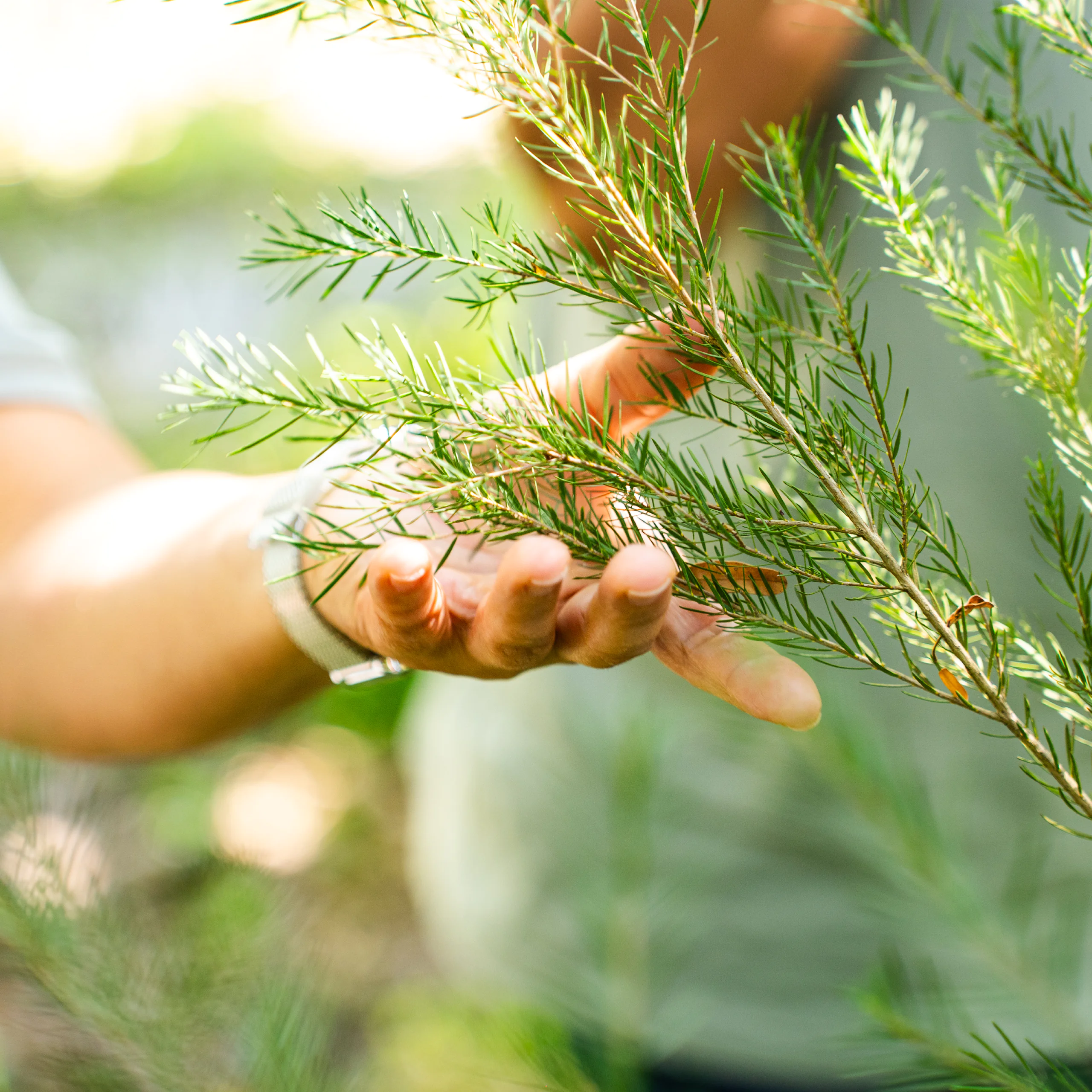 Knowledge exchange with Sítio Roberto Burle Marx (Rio de Janeiro) on ornamental plants and floral arrangements. Photo: Brendon Campos