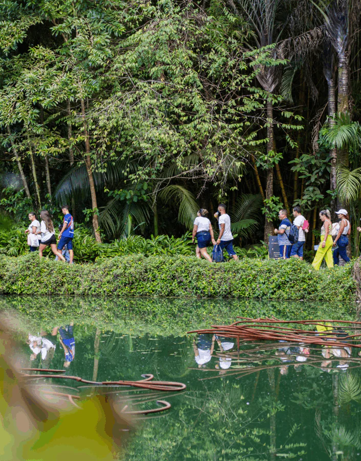 Participe da Visita Temática do Inhotim: gratuita para visitantes e destinada a pessoas de todas as idades. Foto: Brendon Campos