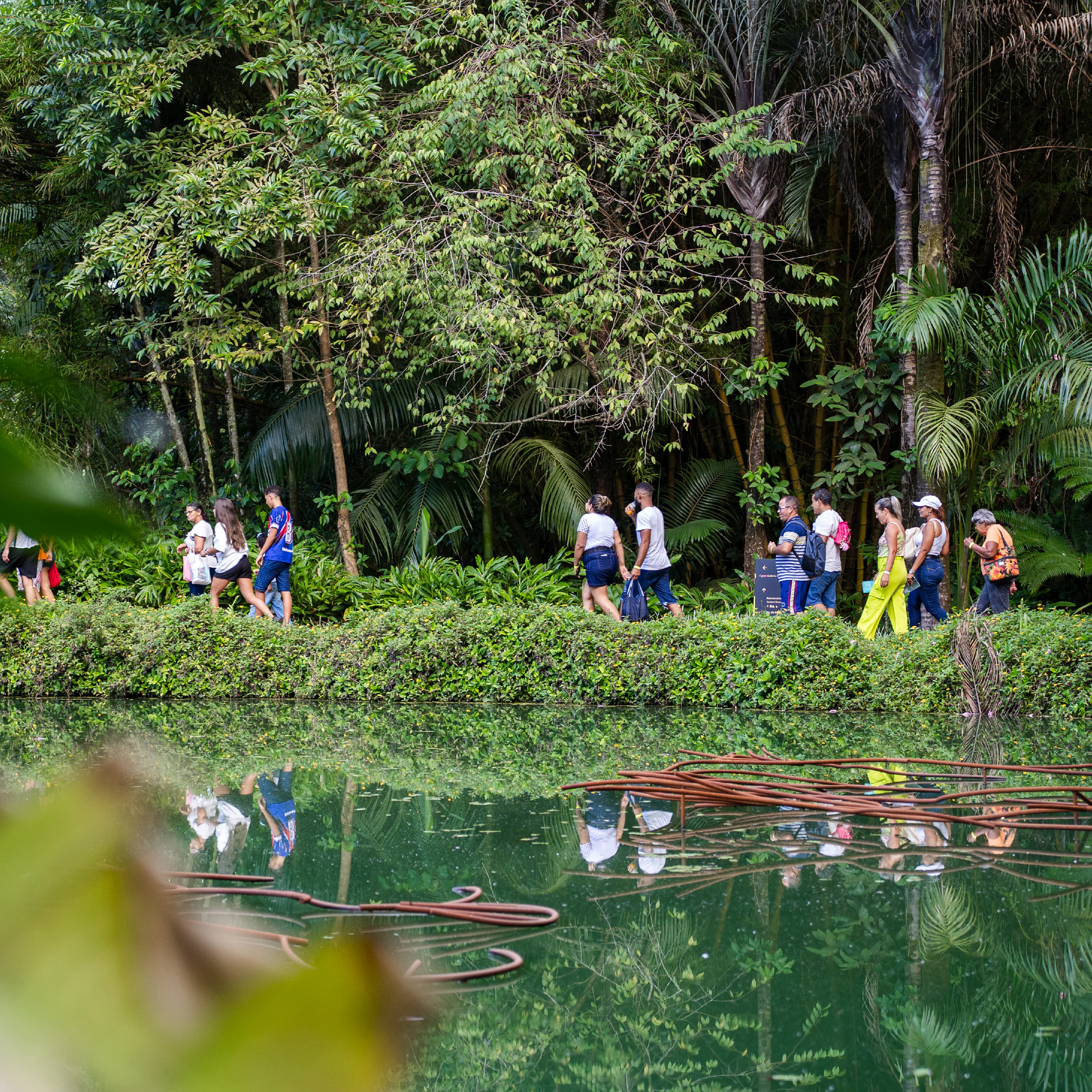 Participe da Visita Temática do Inhotim: gratuita para visitantes e destinada a pessoas de todas as idades. Foto: Brendon Campos
