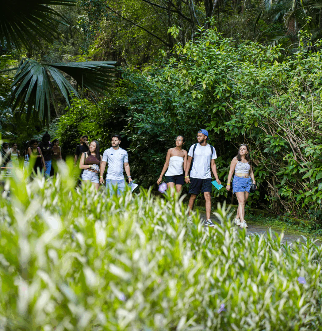 [DES25 DIG] ProximaParadaSET PAGINA Site BrendonCampos