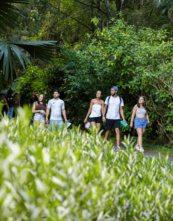 [DES25 DIG] ProximaParadaSET PAGINA Site BrendonCampos