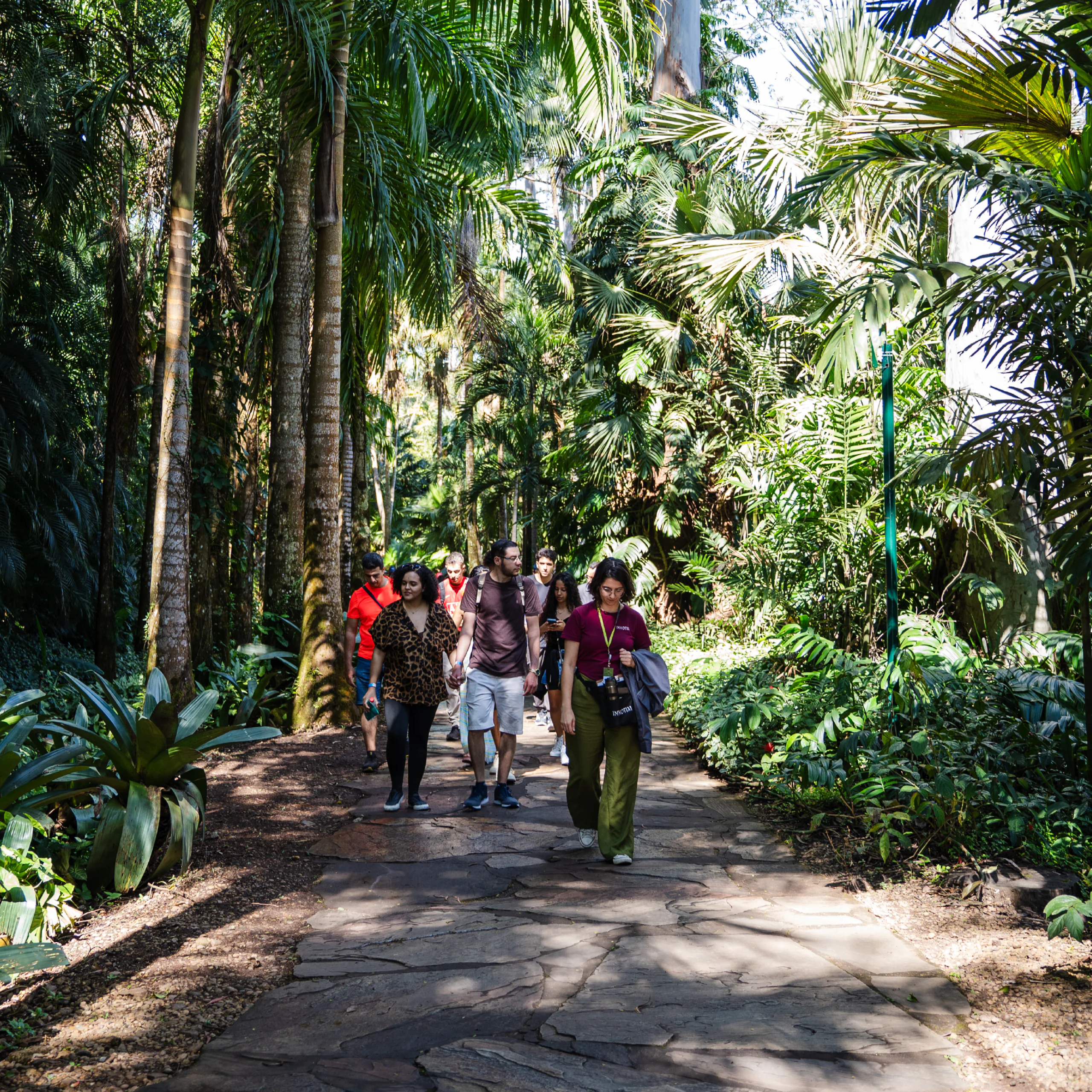 Join us for Inhotim’s Themed Visit. It's free for all visitors and suitable for all ages. Photo: Brendon Campos