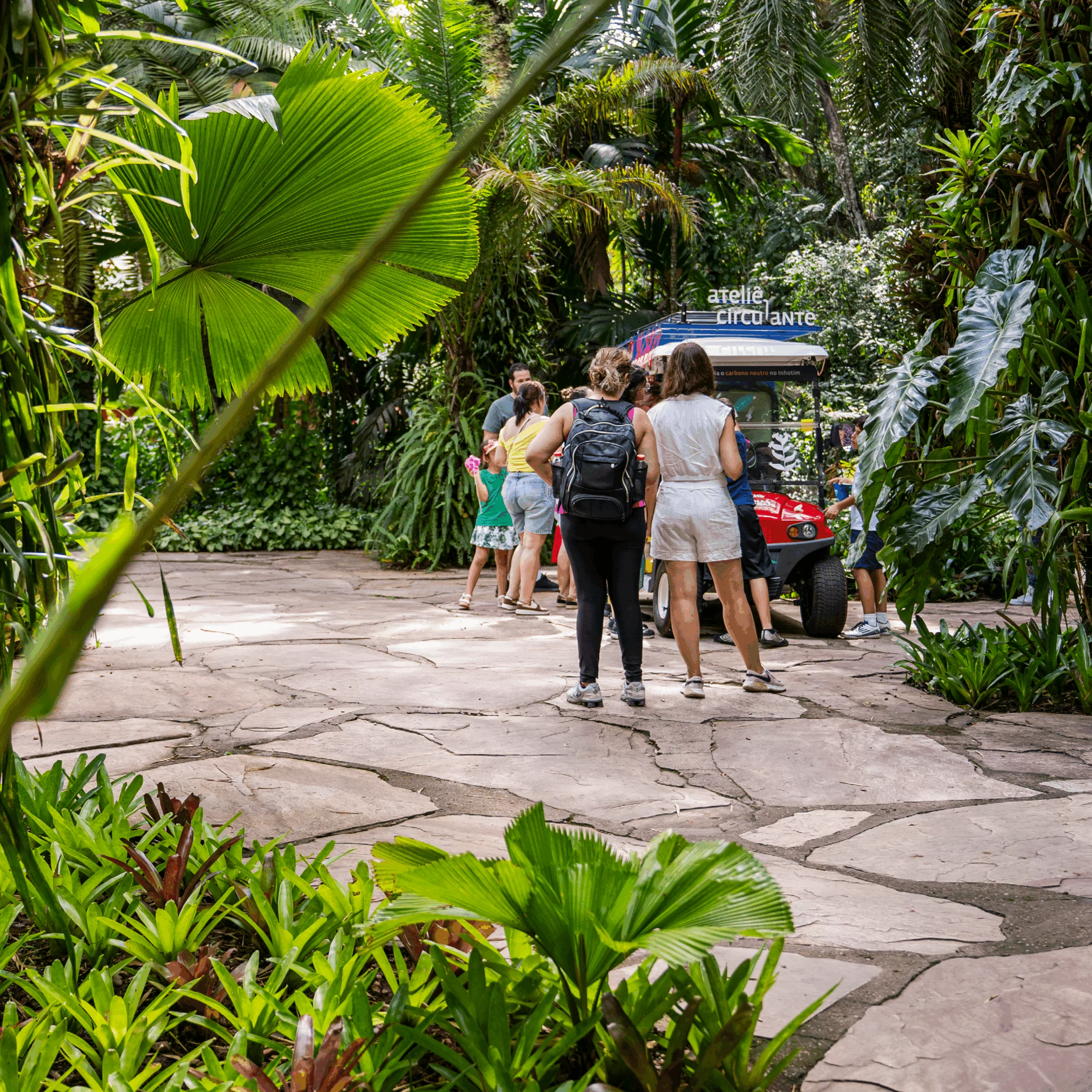 The Traveling Workshop invites you to experience art and nature through activities held throughout Inhotim. Photo: Brendon Campos