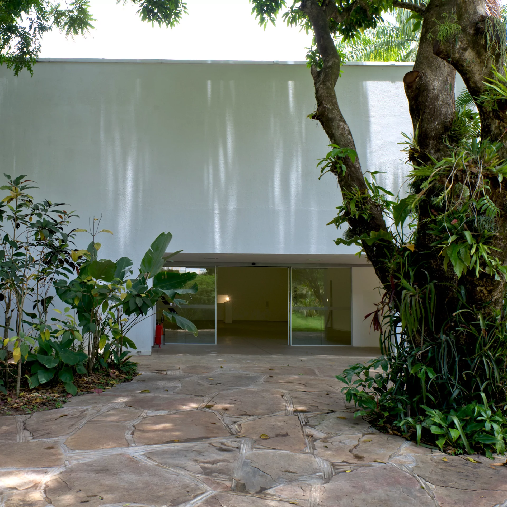 Participe da Visita Temática do Inhotim: gratuita para visitantes e destinada a pessoas de todas as idades. Foto: William Gomes