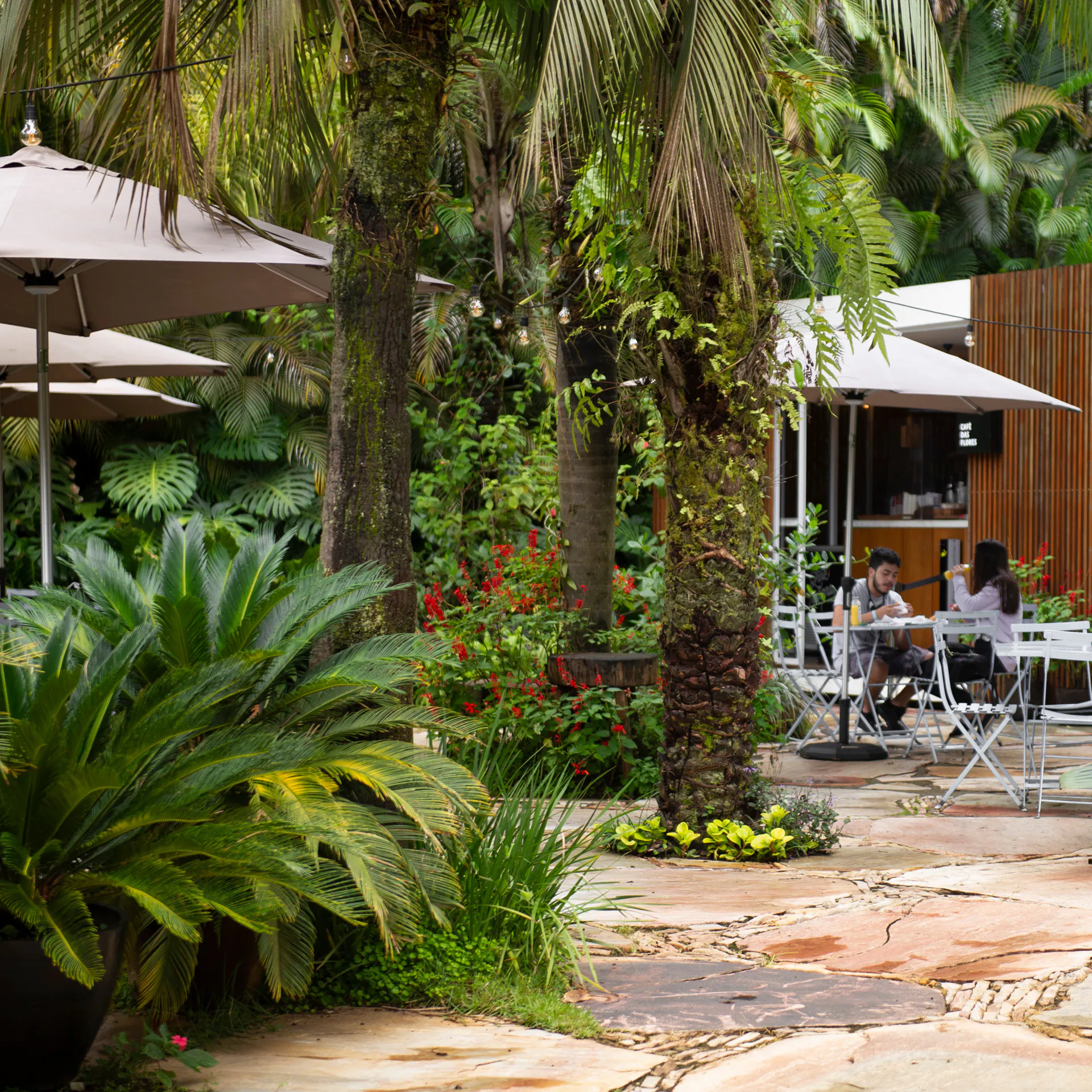 Café das flores c visitantes Brendon 02