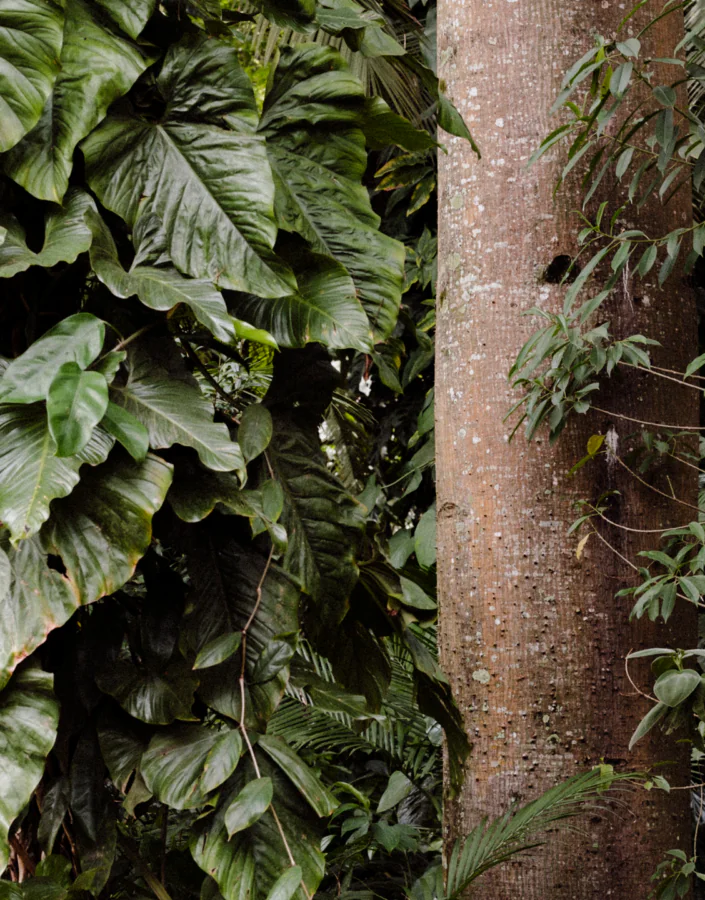 [DES26 DIG] JardimDeTransição SITE HOME MariaVaz