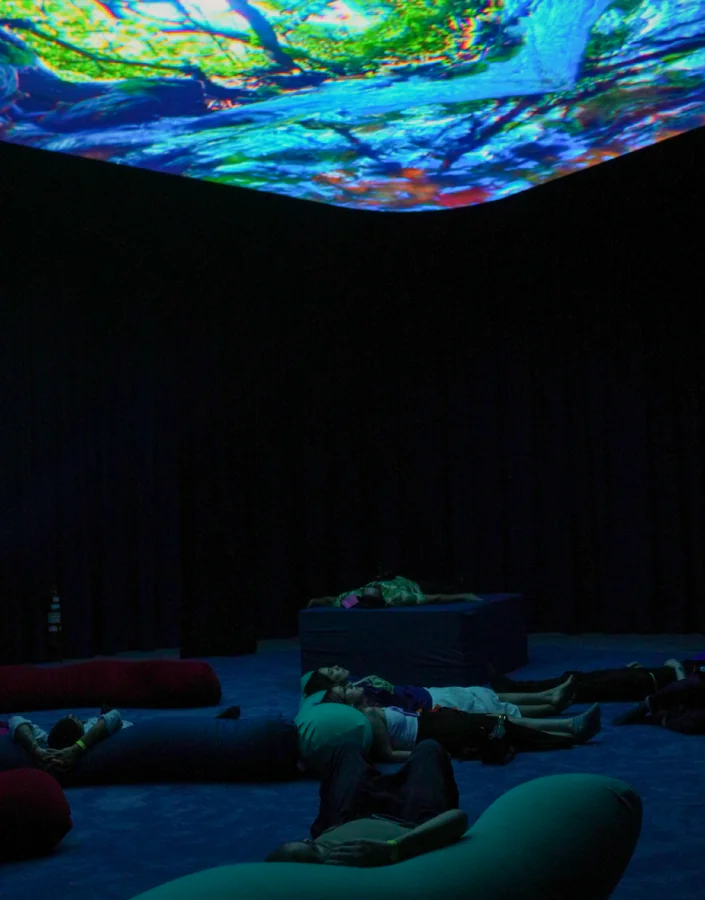 Participe das Conversas sobre o Acervo do Inhotim: gratuitas para visitantes e destinada a pessoas de todas as idades. Foto: Ana Clara Martins