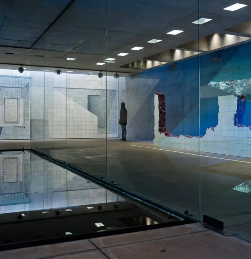 Participe das Conversas sobre o Acervo do Inhotim: gratuitas para visitantes e destinada a pessoas de todas as idades . Foto William Gomes