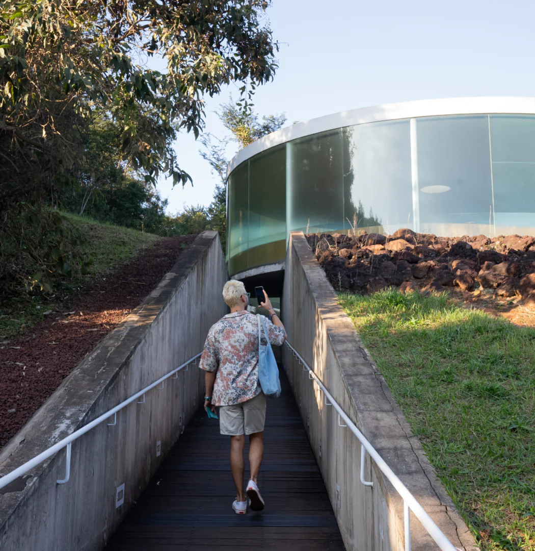 [DES26 DIG] FevNoInhotim SITE HOME AnaClaraMartins