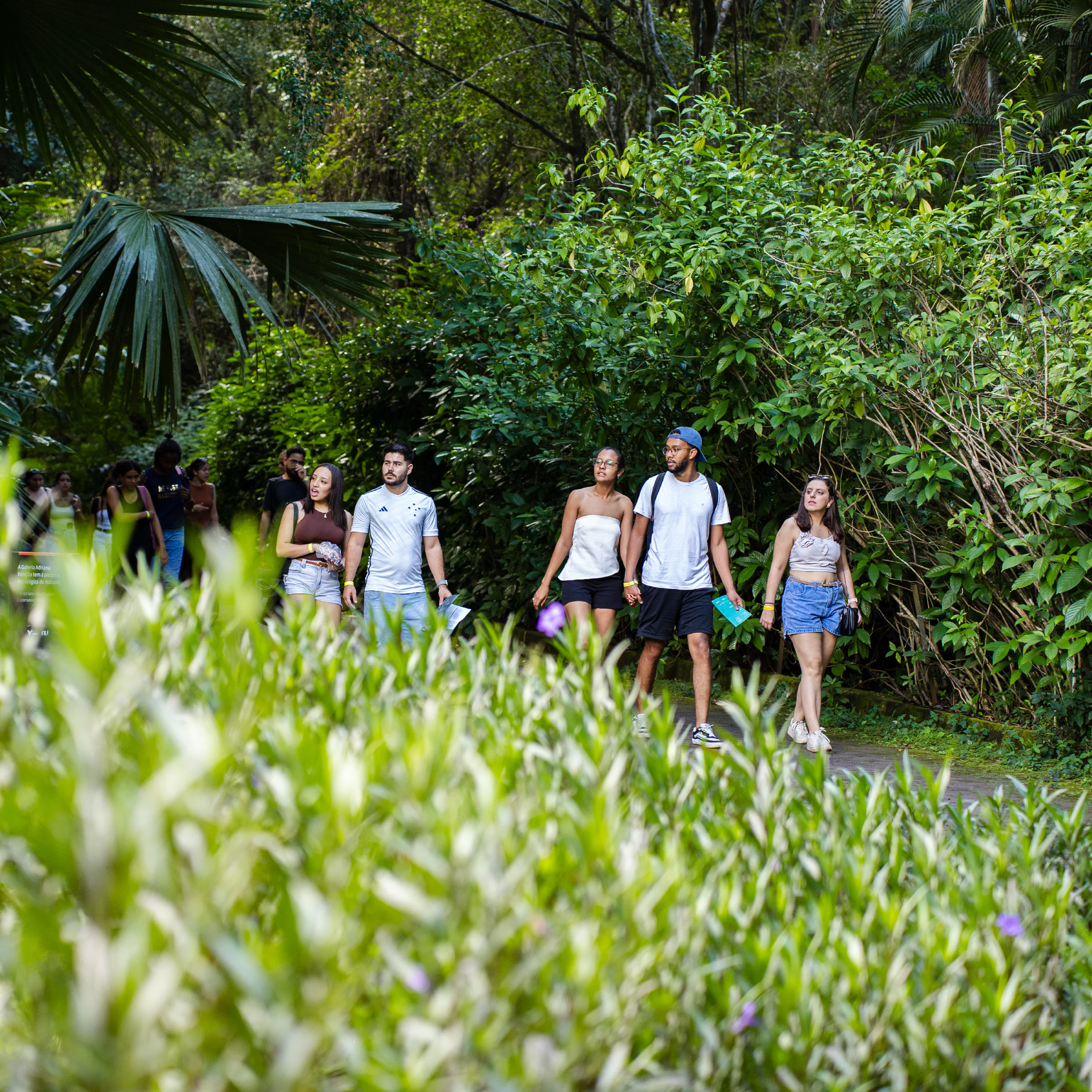 O Ateliê Circulante convida para atividades em diferentes pontos do Inhotim, experimentando a arte e natureza. Foto: Brendon Campos