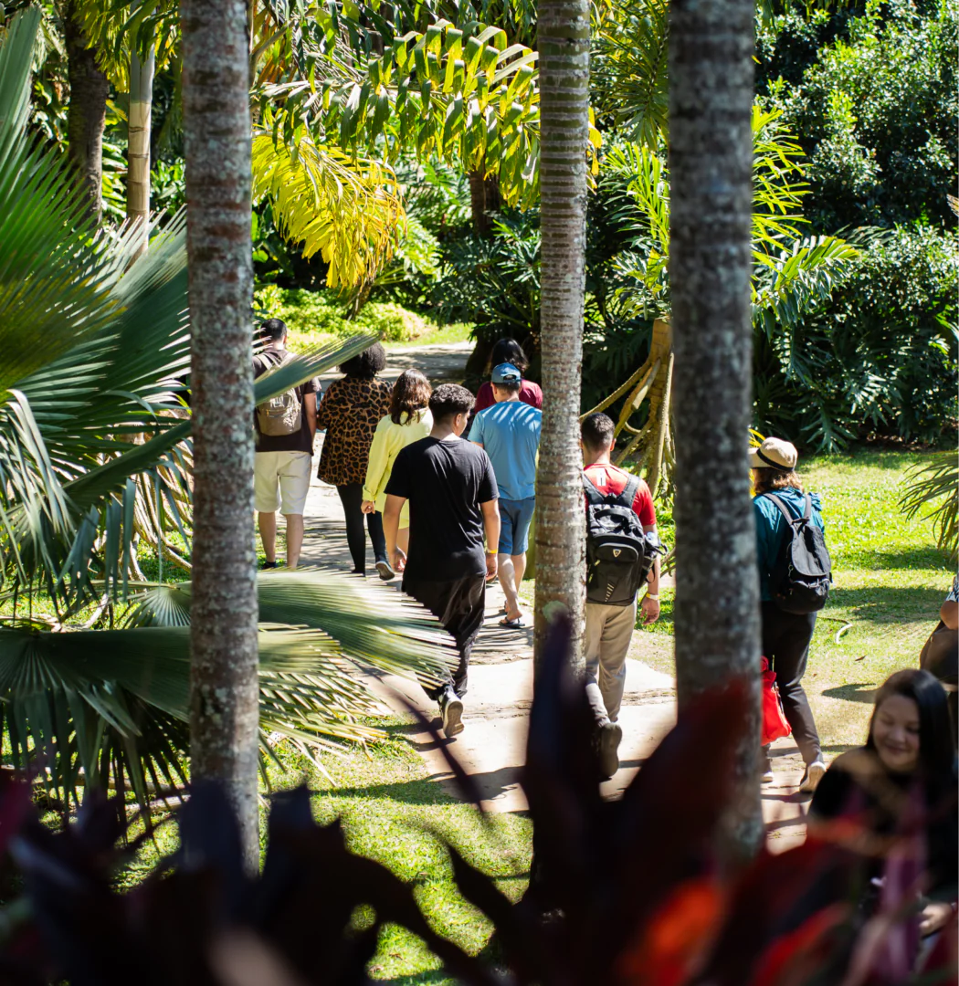 [DES26 DIG] MarNoInhotim SITE HOME BrendonCampos