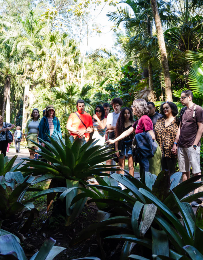 Em março, Seminário Ser do Serrado, Experiência Brumadinho, oficinas e Conversas sobre o Acervo no Inhotim. F
