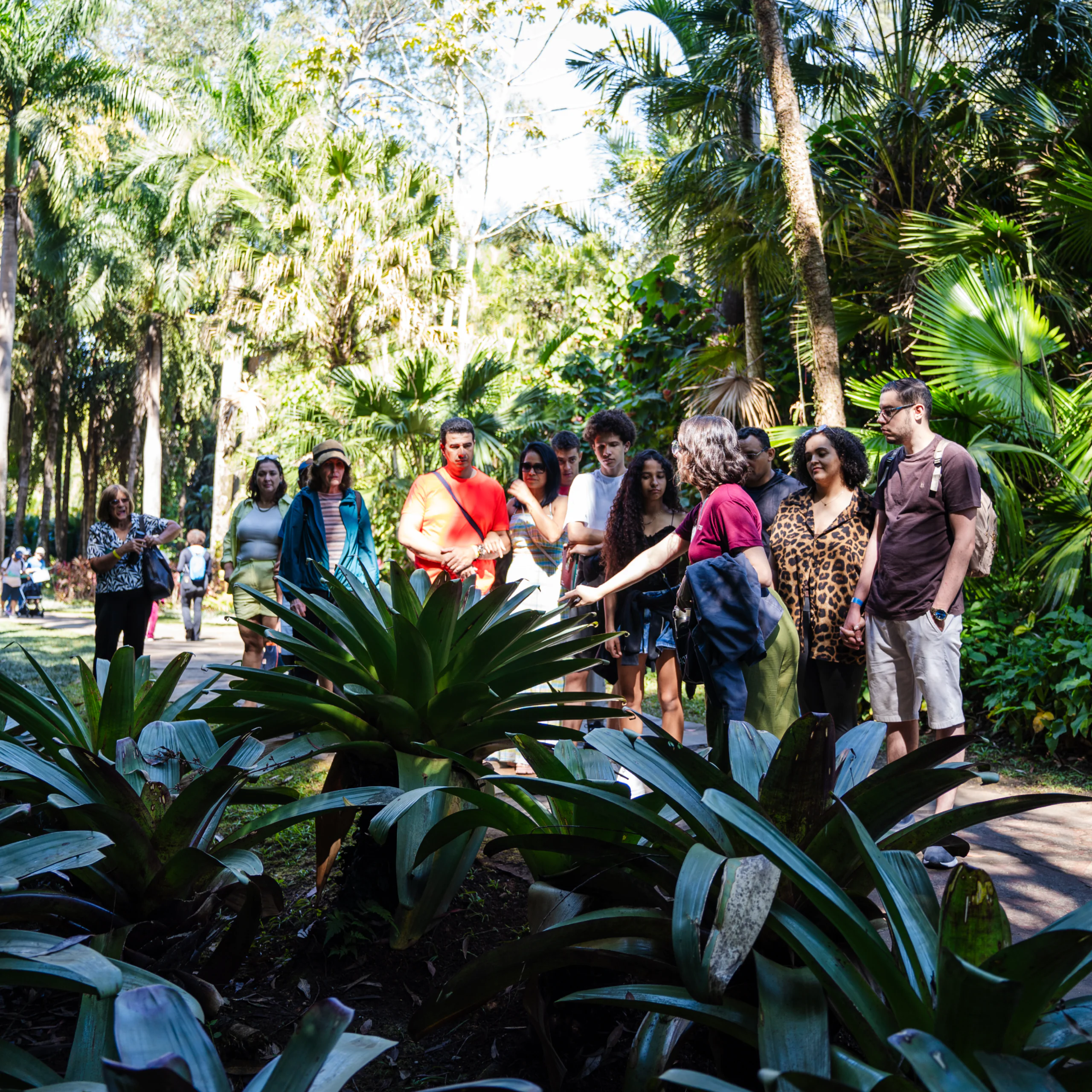 Em março, Seminário Ser do Serrado, Experiência Brumadinho, oficinas e Conversas sobre o Acervo no Inhotim. Foto: Brendon Campos