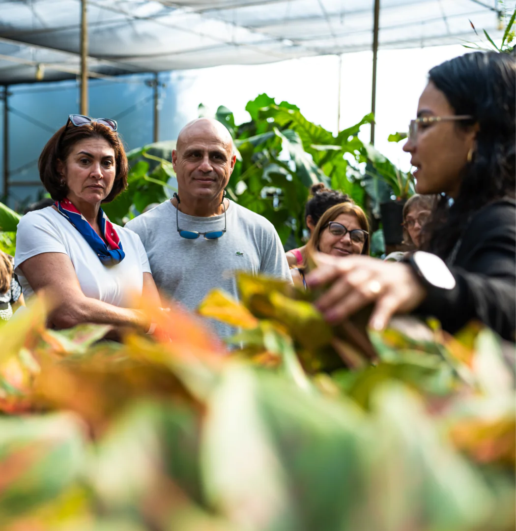 [DES26 DIG] SeminárioSerdoCerrado SITE HOME BrendonCampos